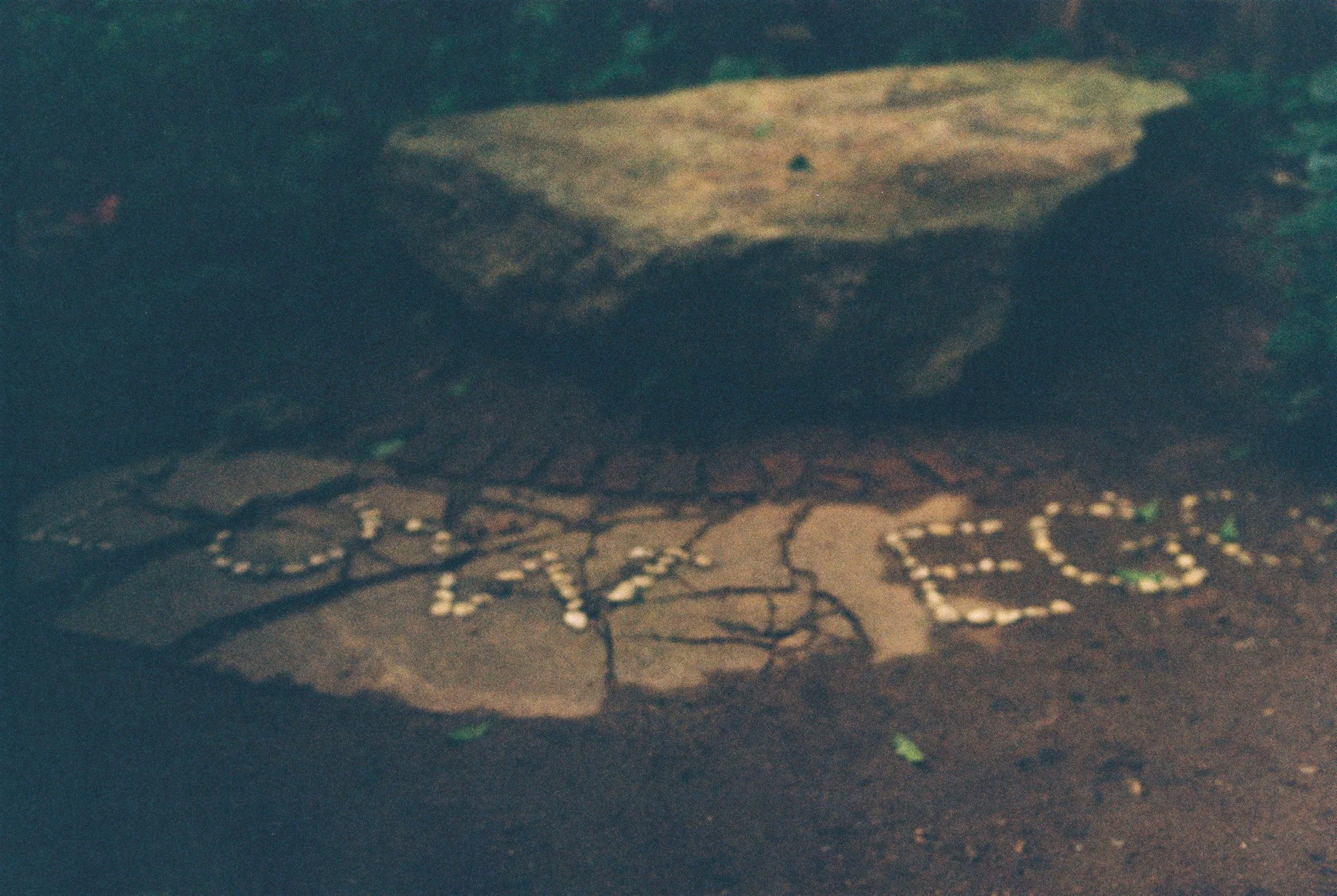 000033.jpg