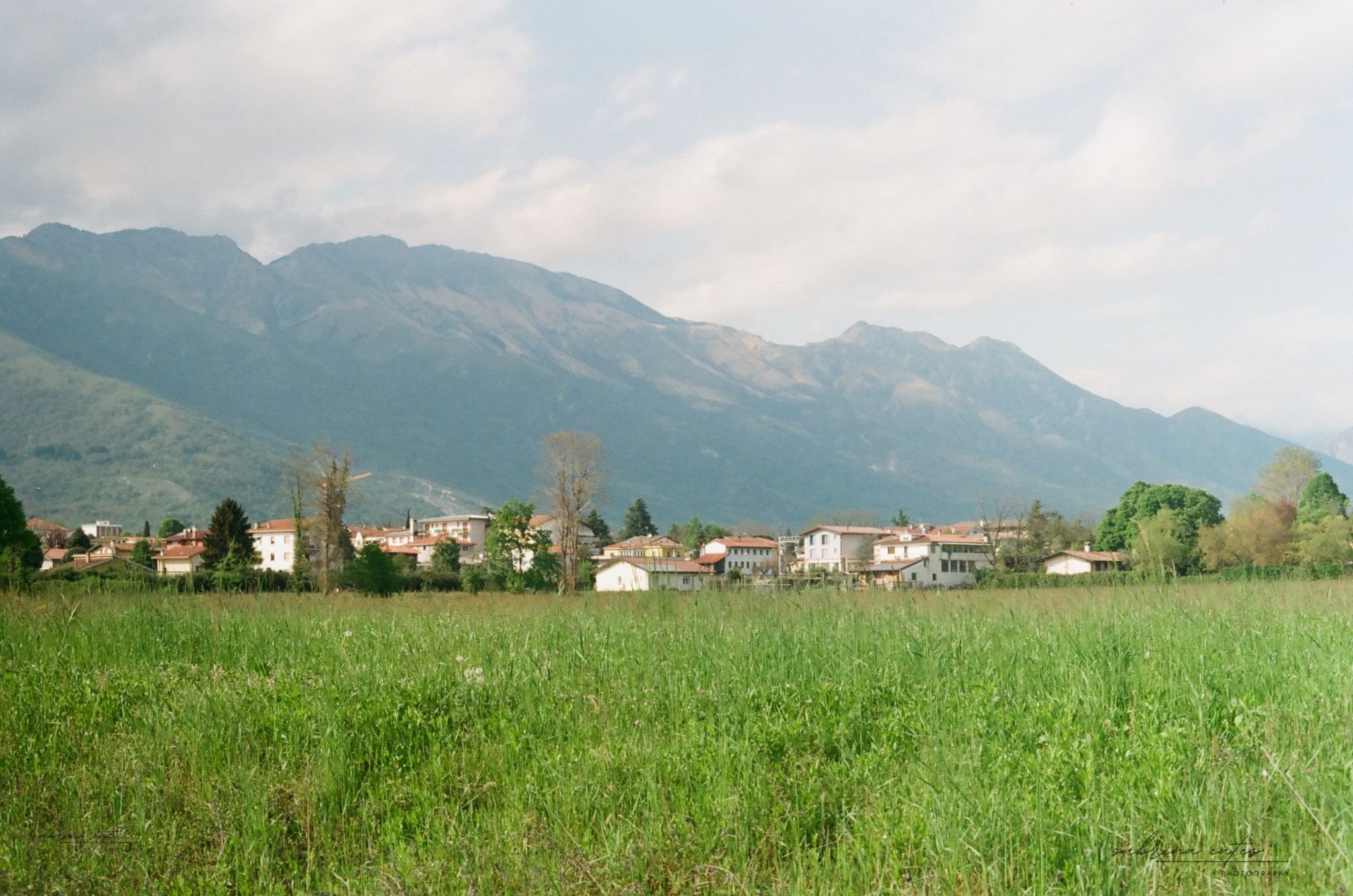 Untitled design copy 17.jpg