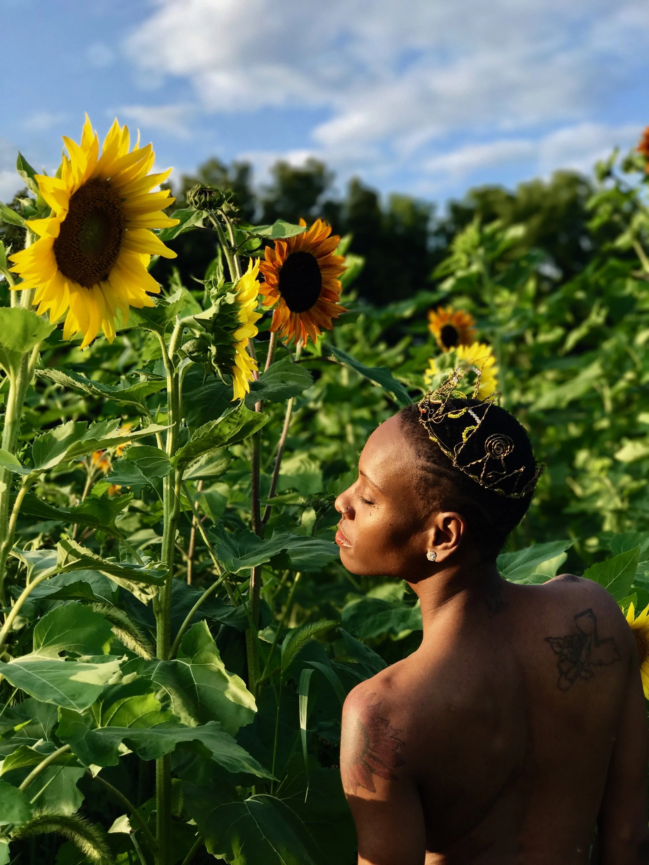 Ian X Sunflower Field 23.JPG