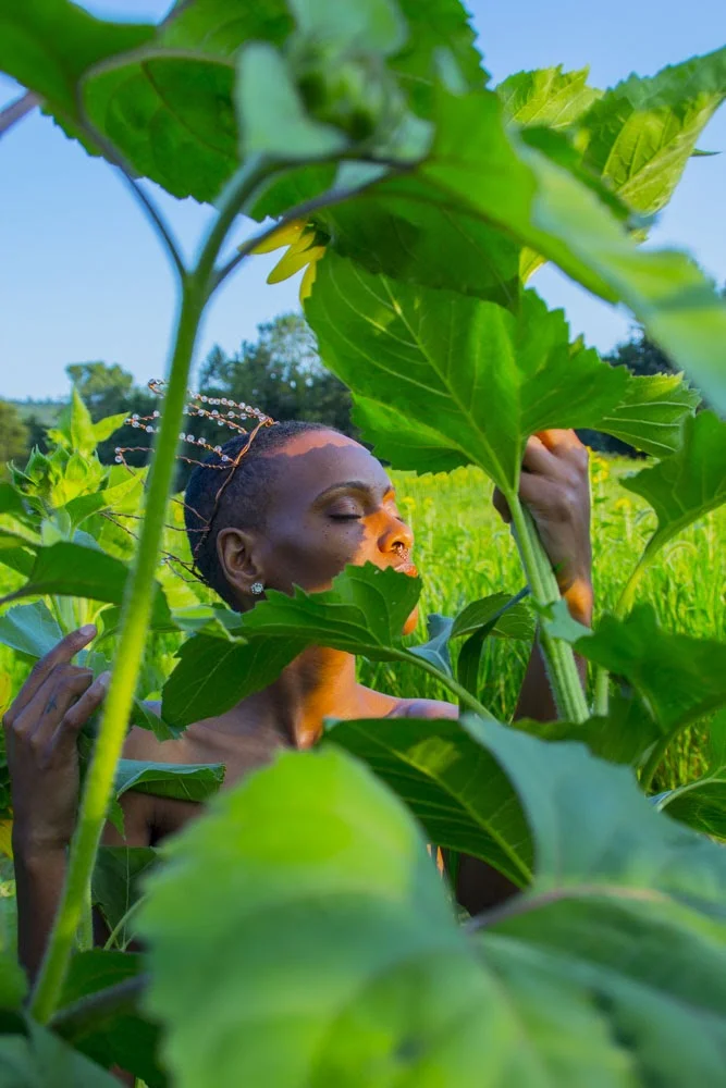 Ian X Sunflower Field 2.JPG