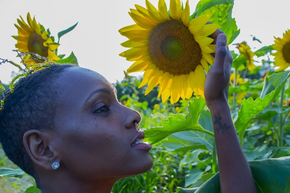 Ian X Sunflower Field 1.JPG