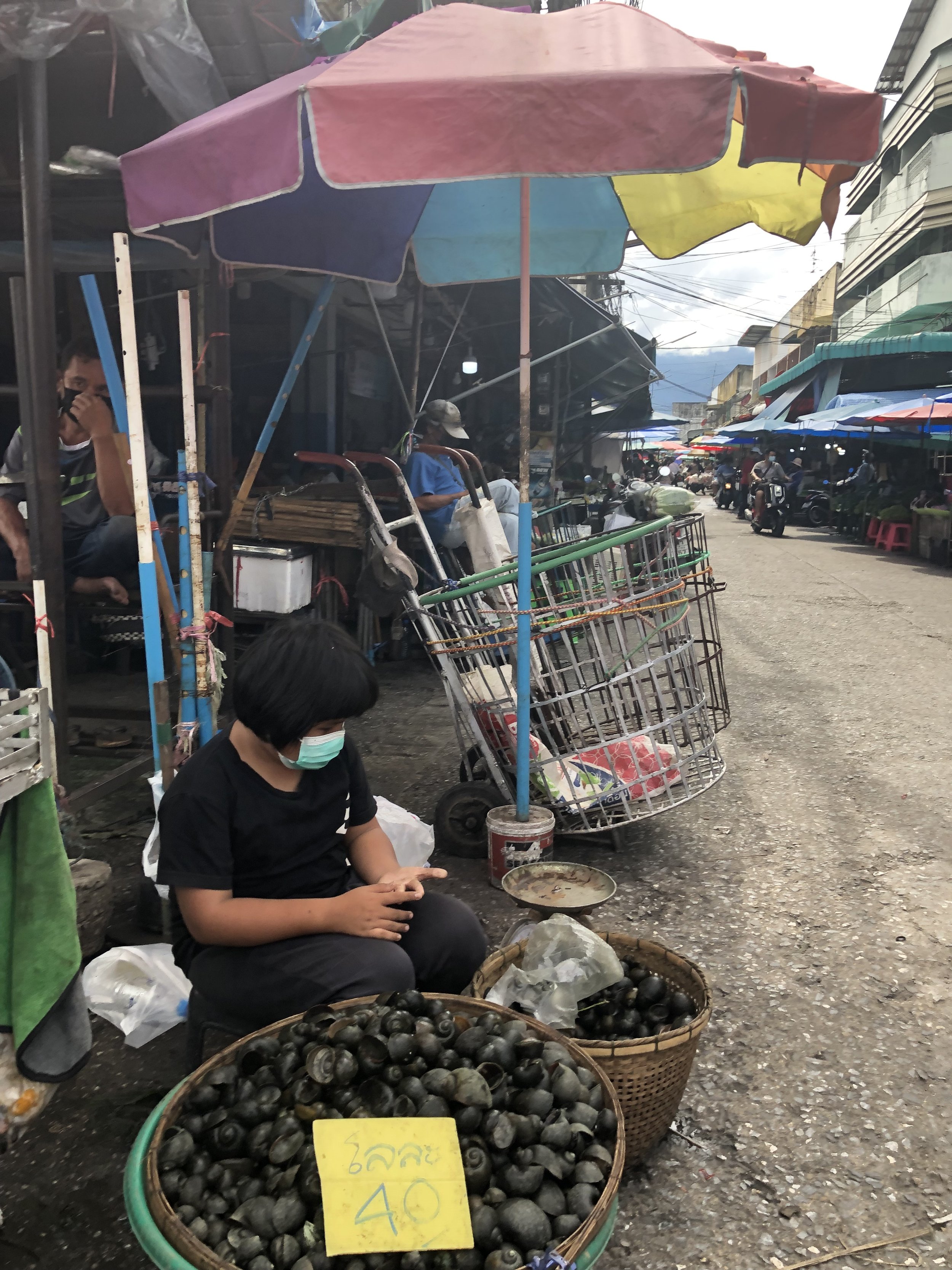 IMG_1337.jpeg