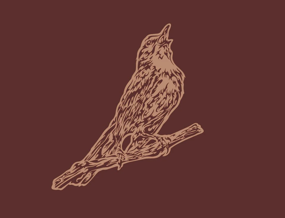 Illustrations & Artwork