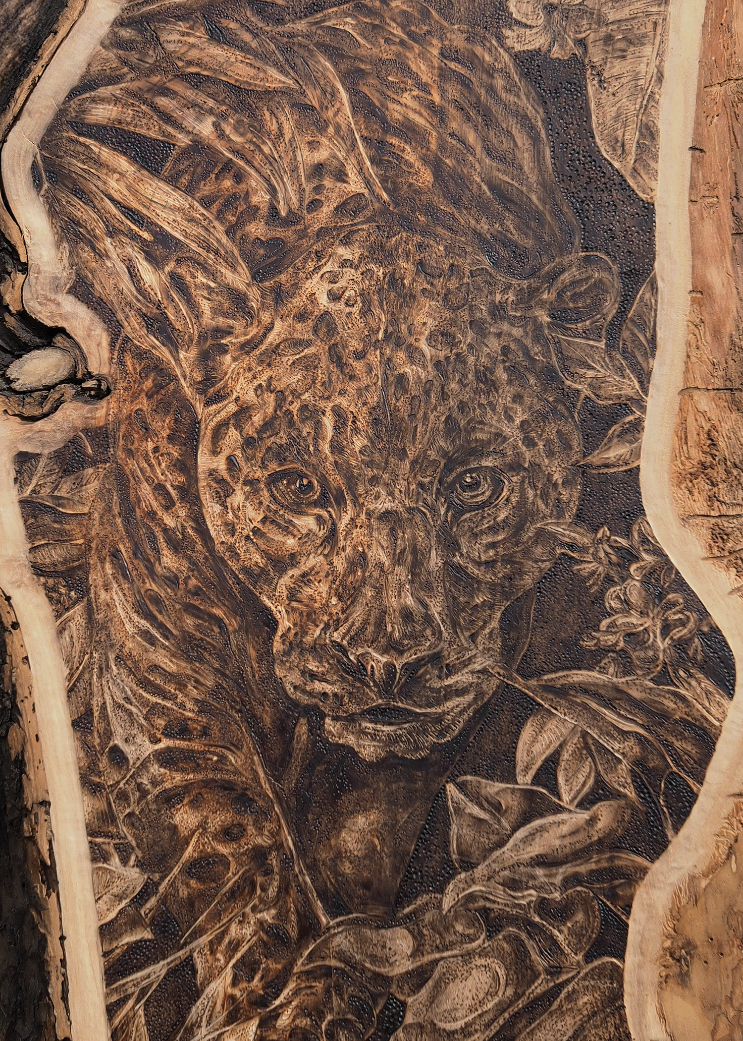 Prowler Close up Giclee Print