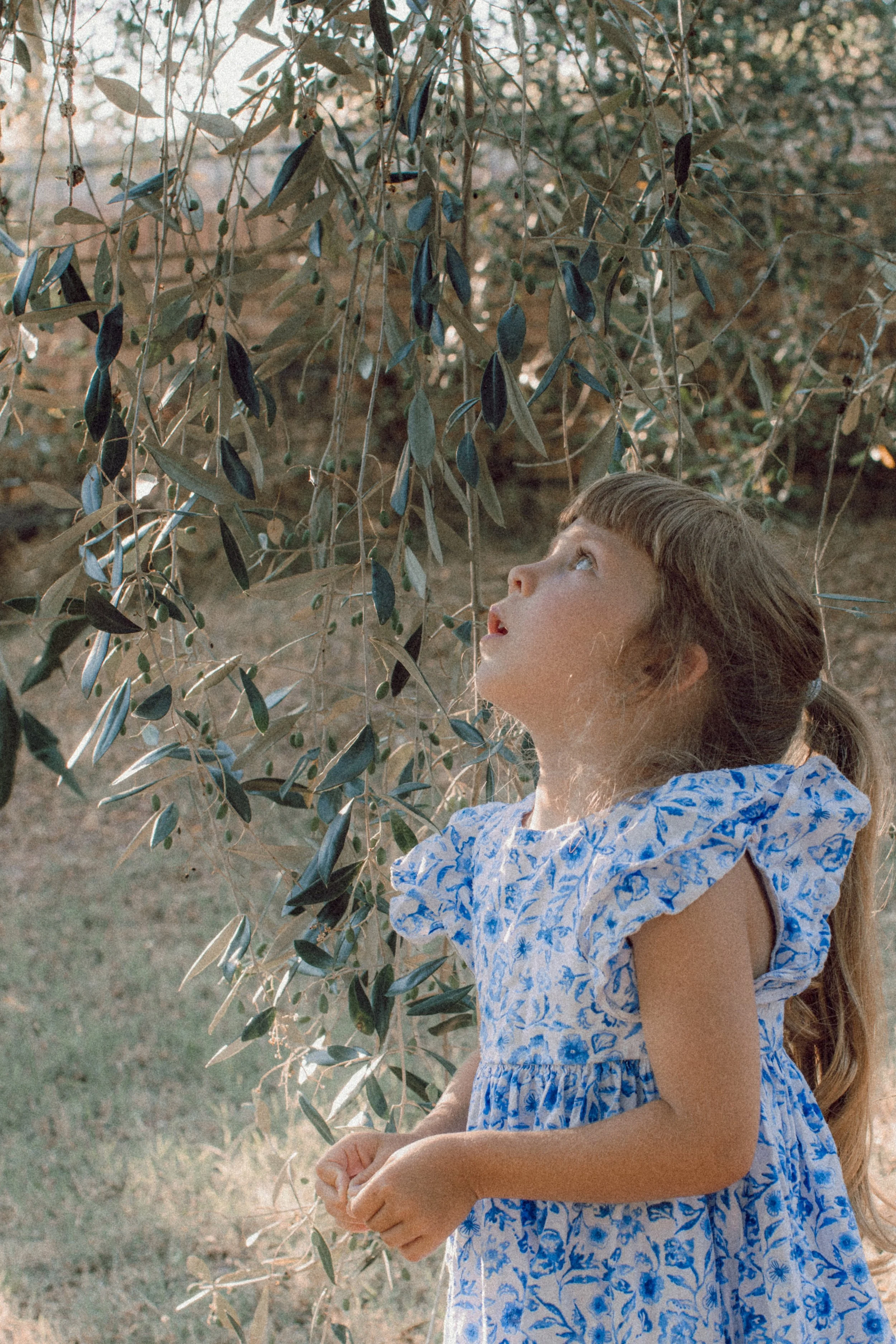 123A3692.jpg