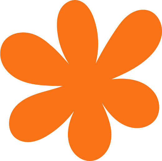 Orange flower with seven petals on a black background.