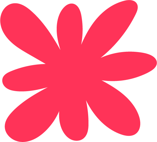 Bright pink flower with eight petals on a black background.