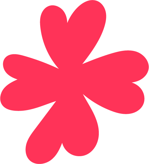 Pink flower with six rounded petals on a black background.