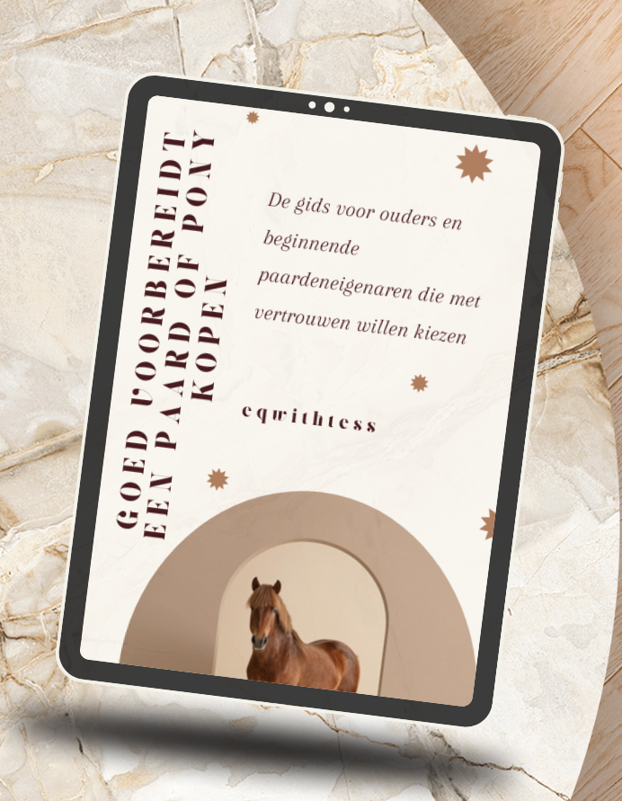 Goed voorbereidt een paard of pony kopen