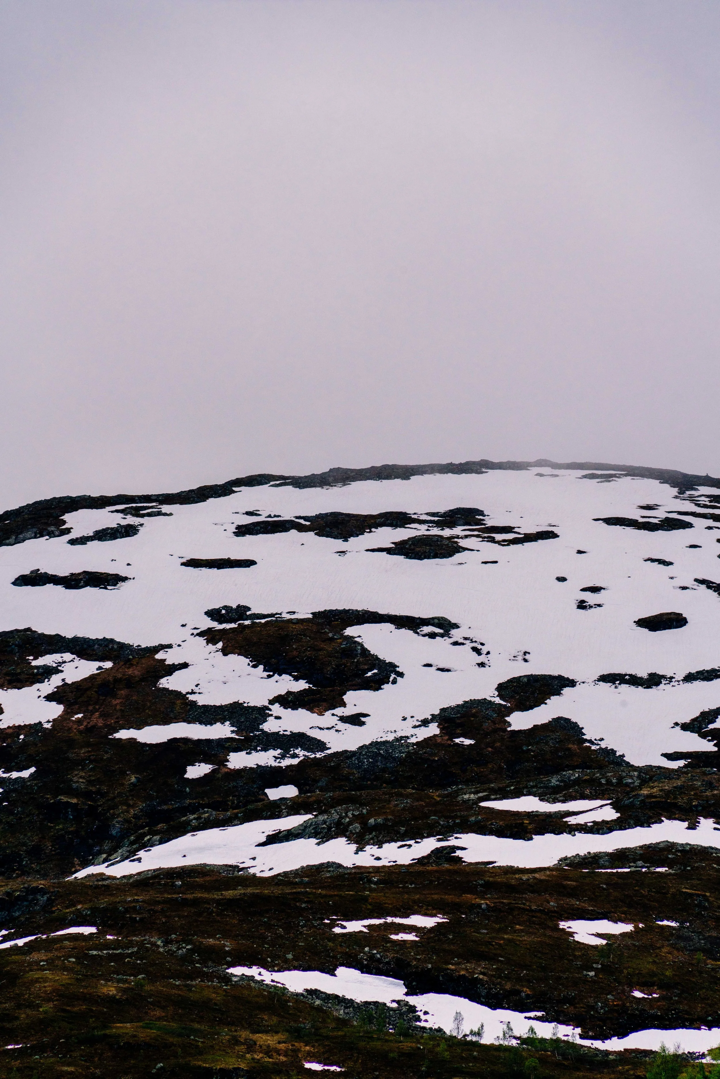 DSC04971.jpg