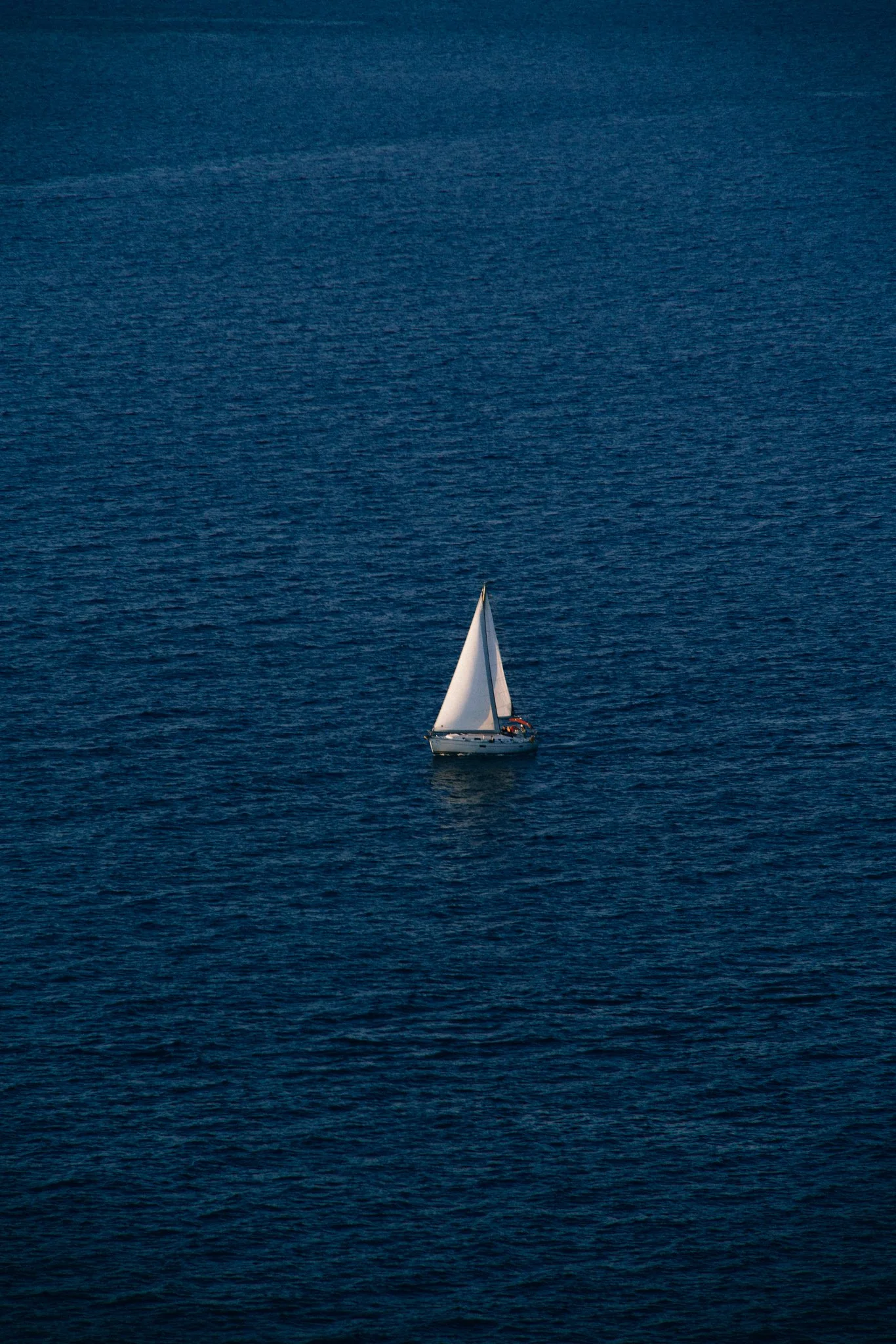 DSC09871.jpg
