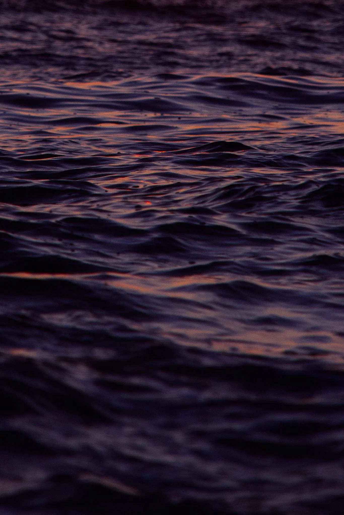 DSC09518.jpg
