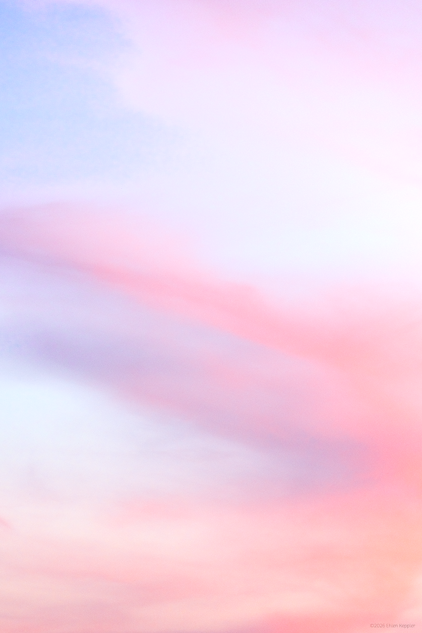 DSC09417-smartist.png