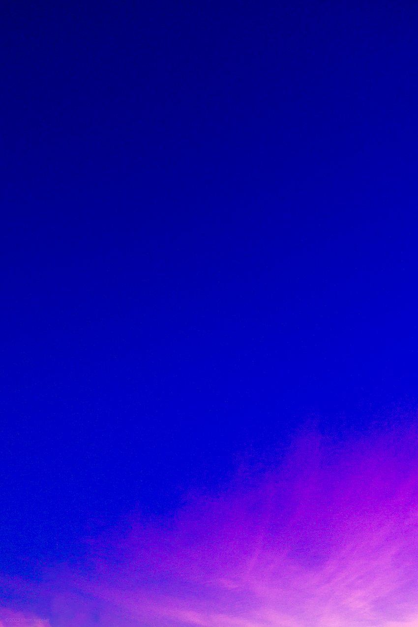 DSC06860-smartist.png