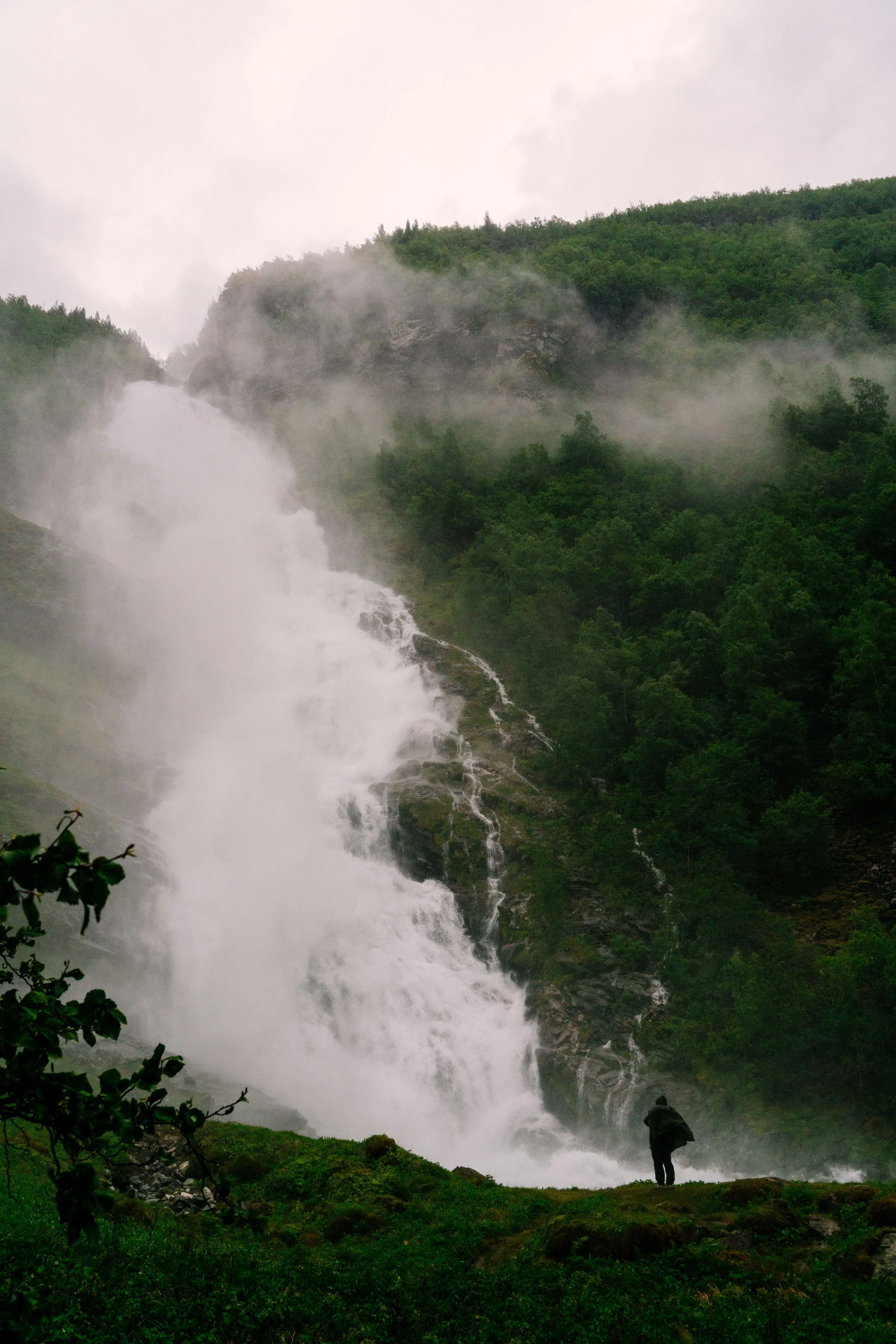DSC04457.jpg