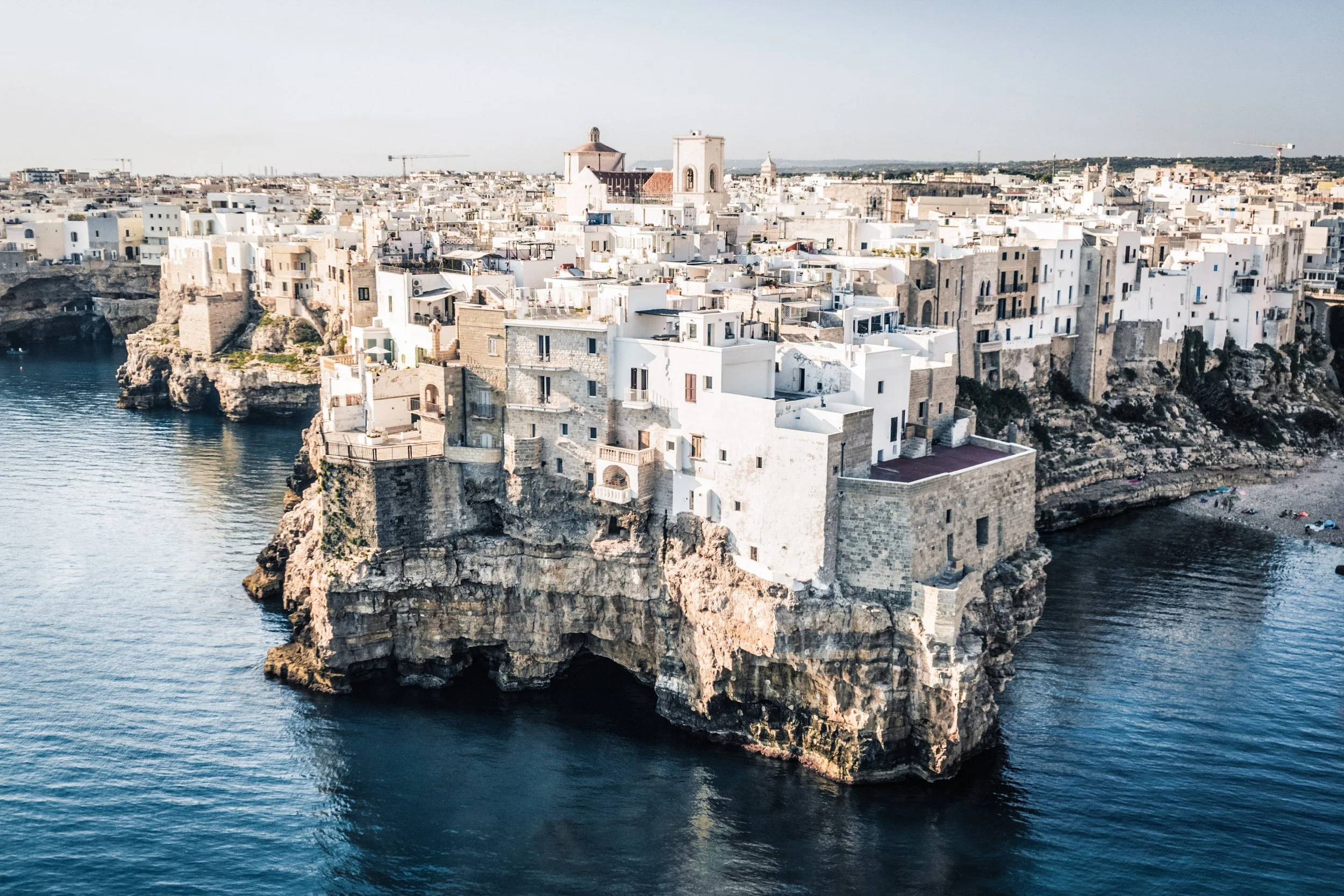 MReid-Puglia97.jpg