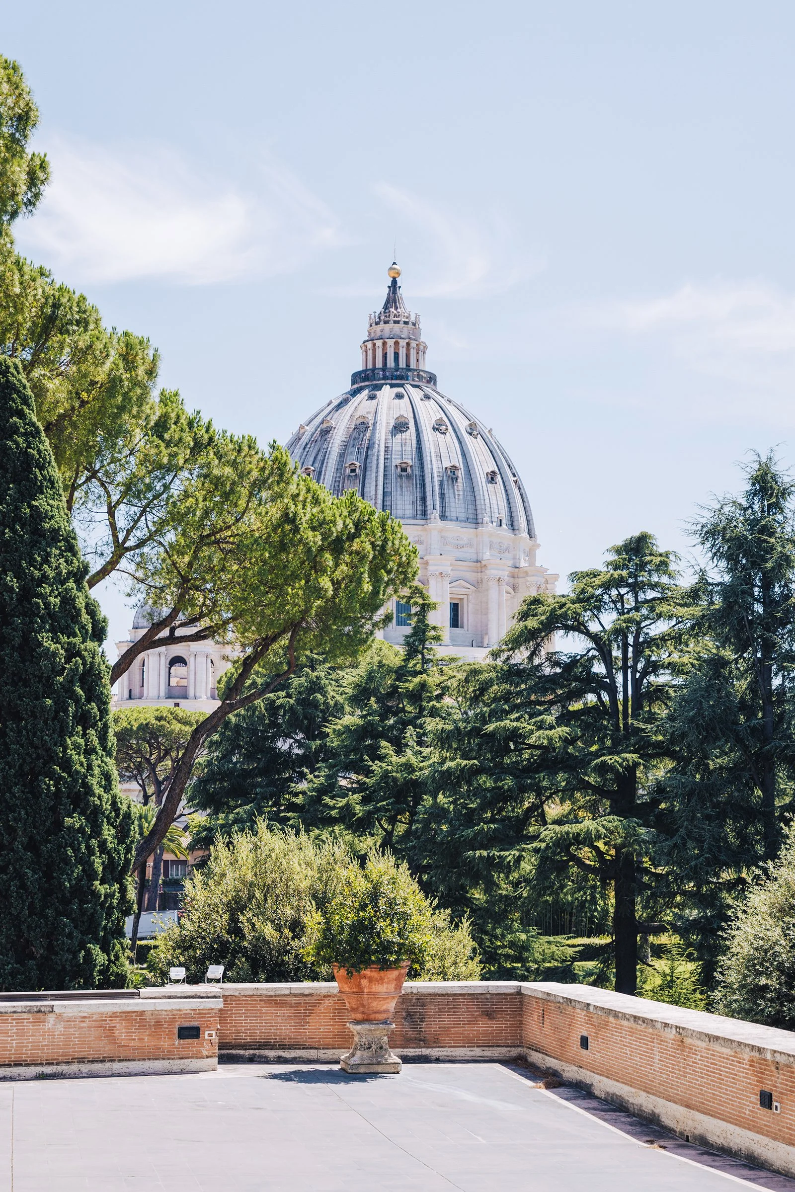 webMReid-Rome53.jpg