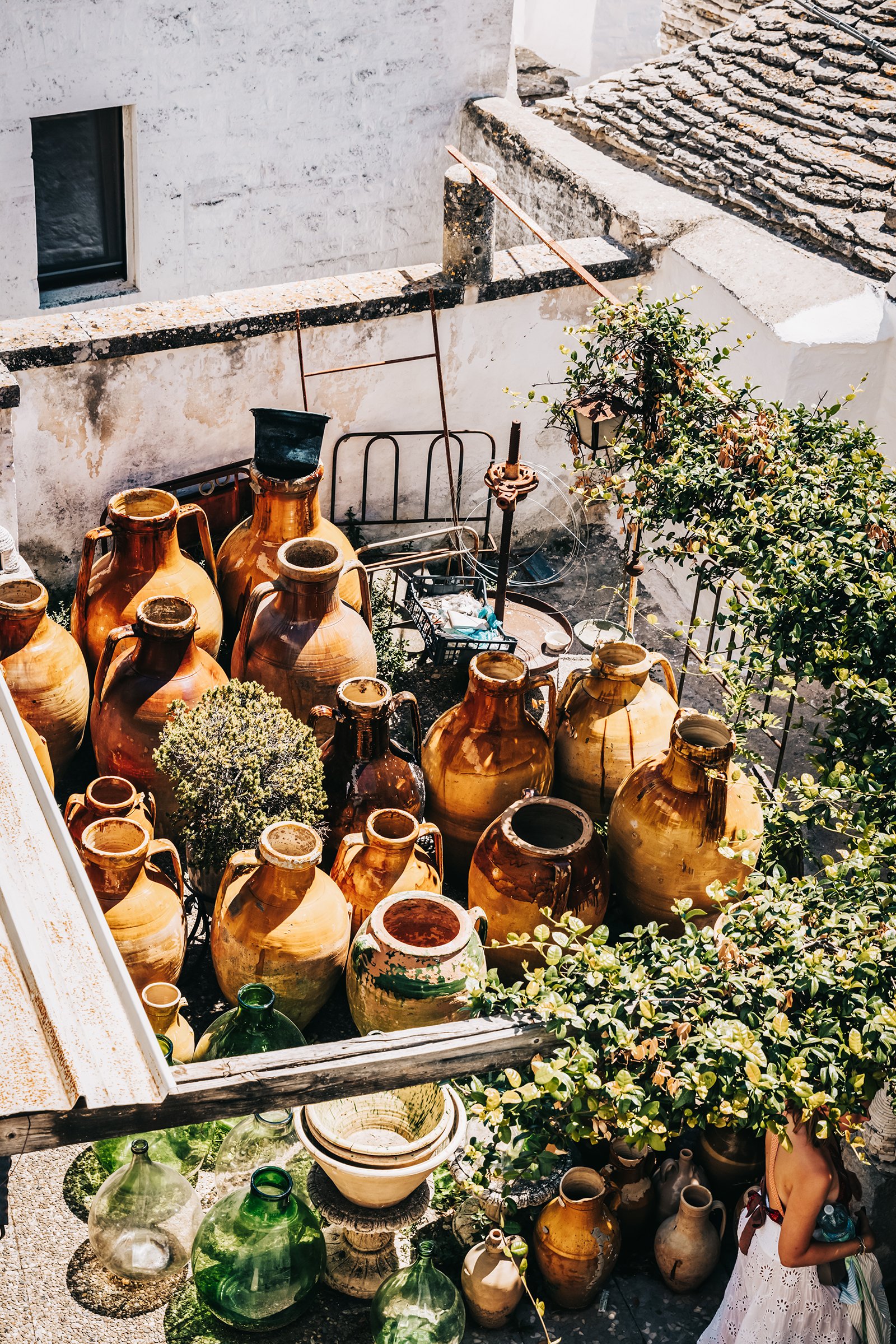 webMReid-Puglia143.jpg