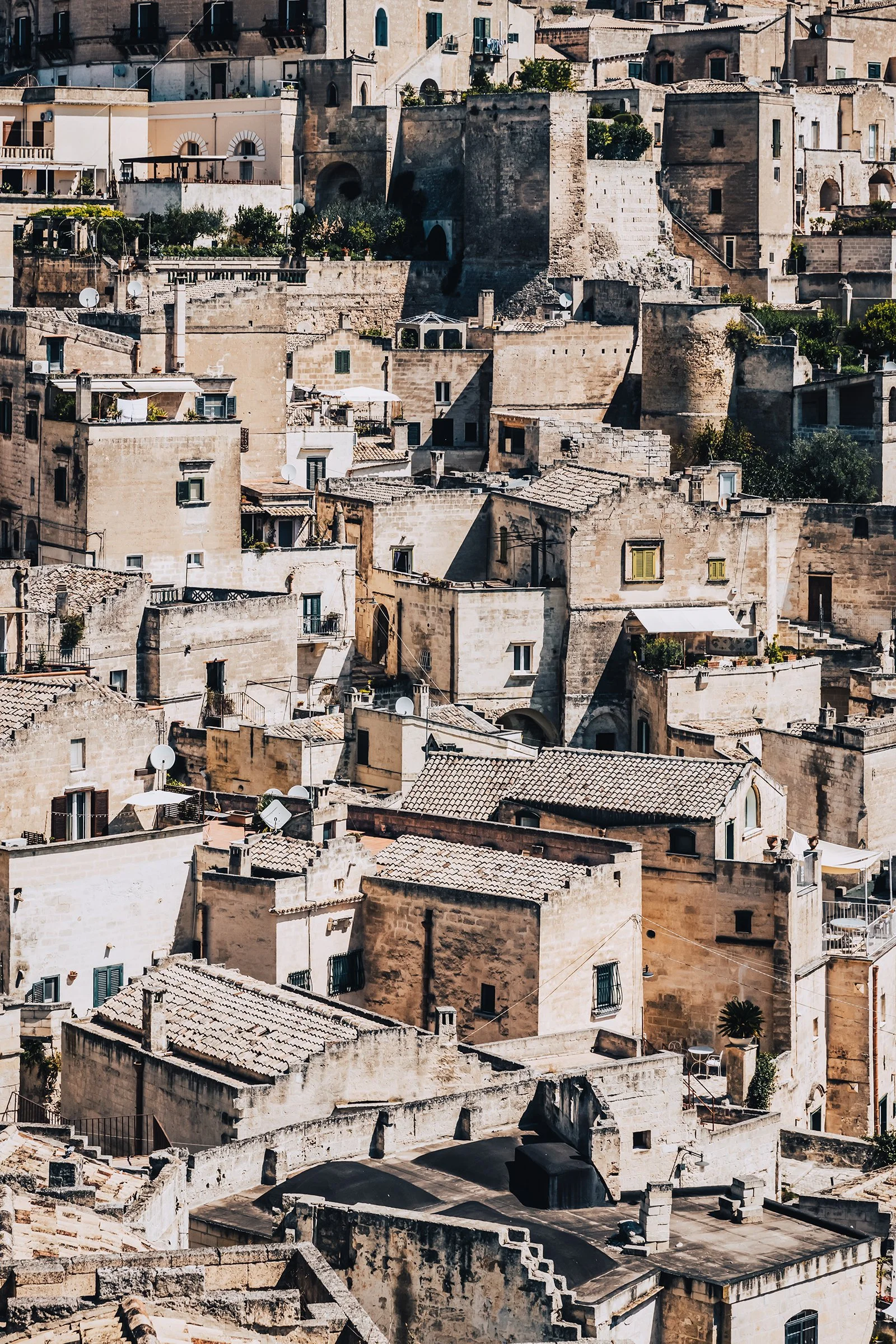 webMReid-Puglia112.jpg
