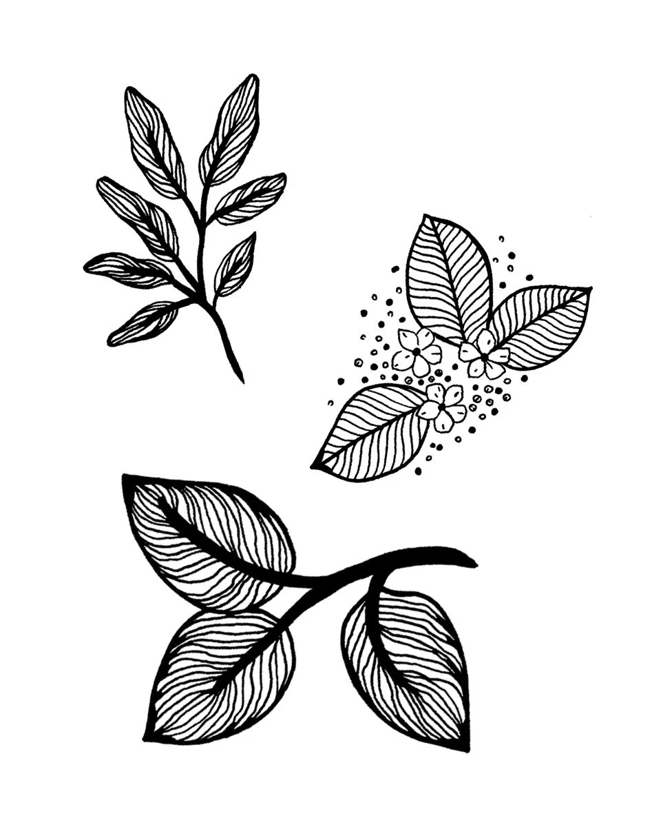 Création d'un dessin pour un tatouage personnalisé de feuille, Noa Serica