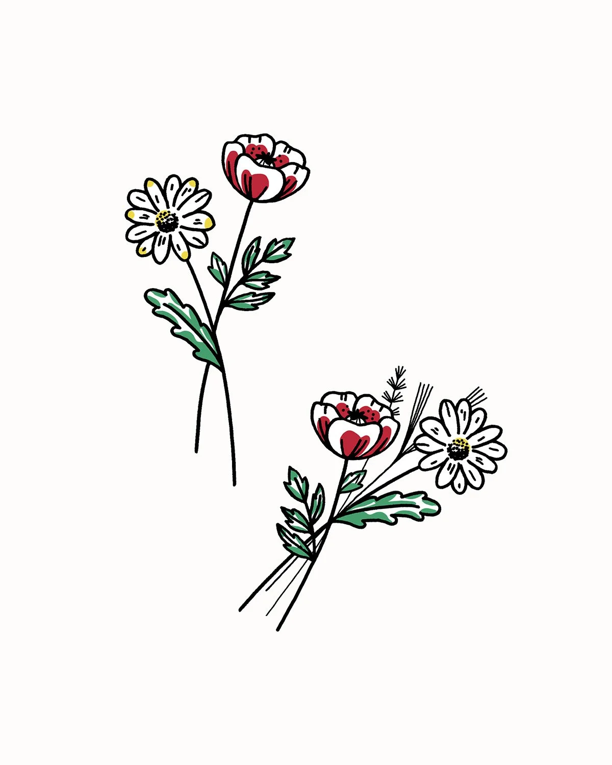 Illustration de fleurs composées de pétales blancs, jaunes et rouges avec des feuilles vertes.