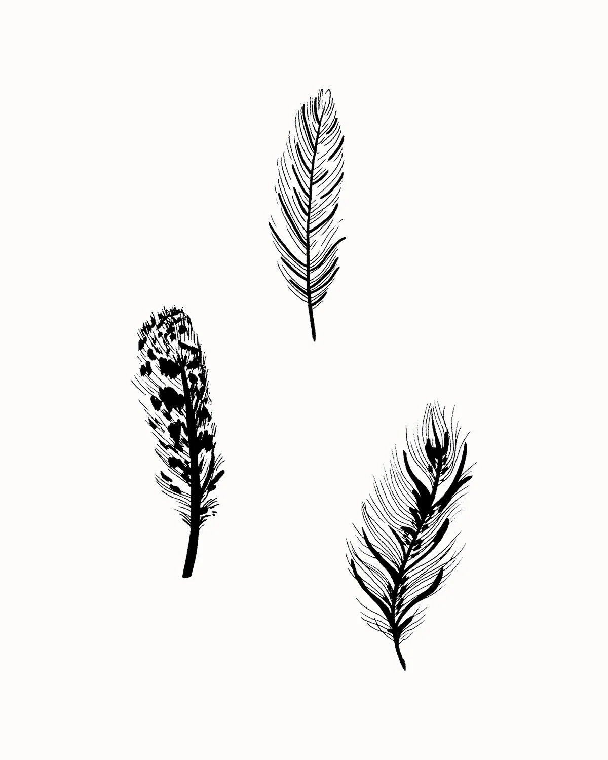 Trois plumes noires et blanches sur fond blanc.