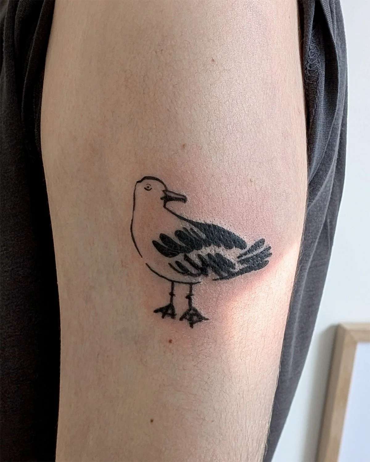 Dessin personnalisé d'un tatouage de goéland, Noa Serica, comment choisir son tatouage