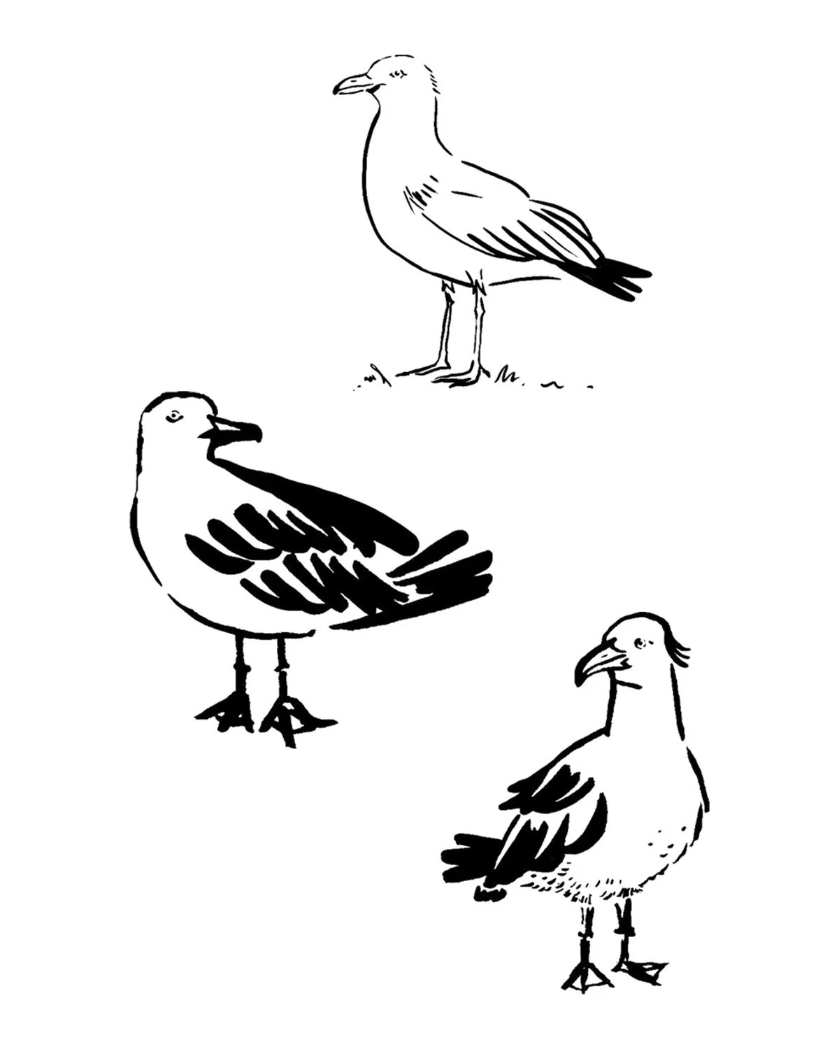 Dessin personnalisé d'un tatouage de goéland, Noa Serica