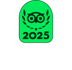 Green badge with an owl wearing glasses, laurel leaves, and the year '2025'