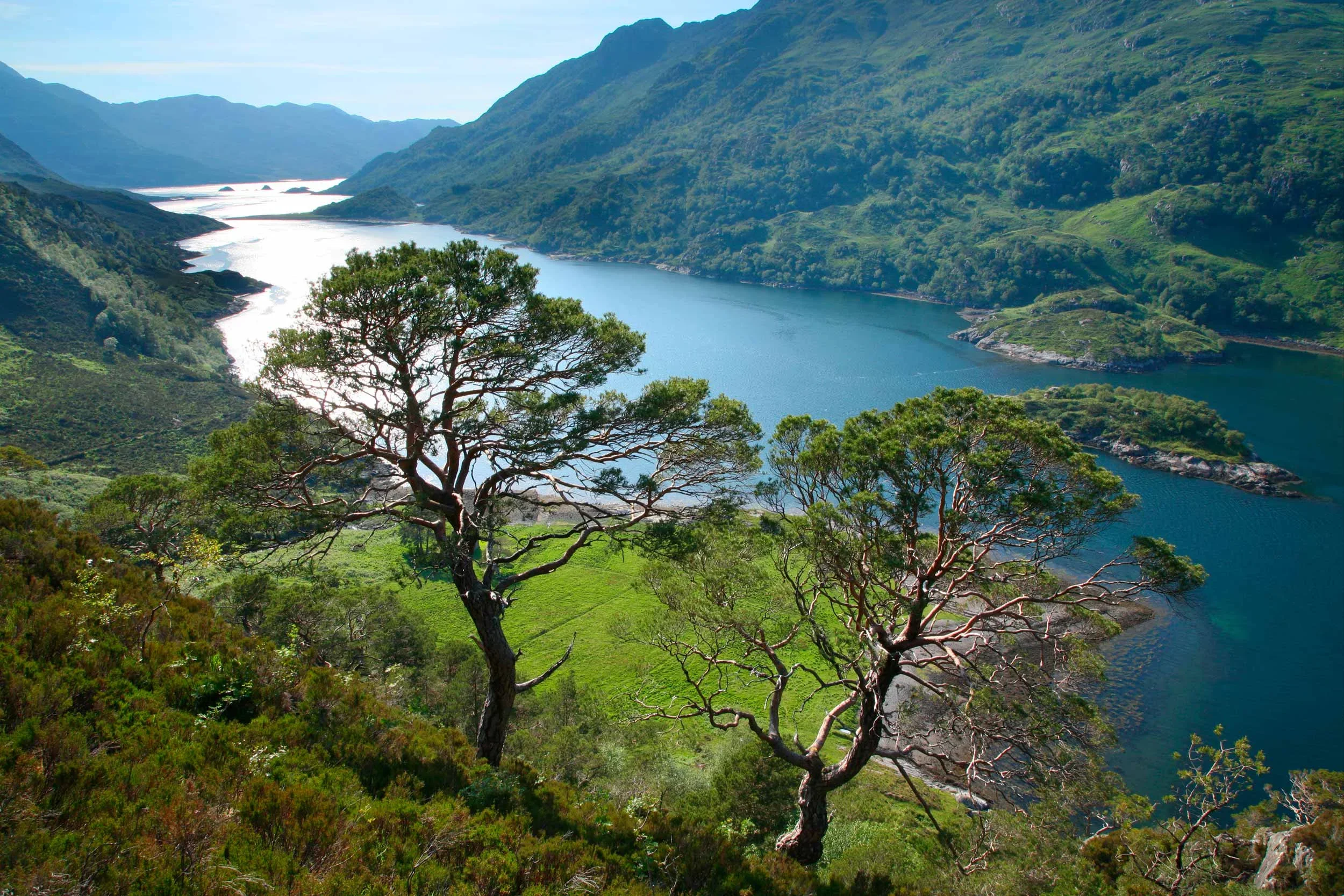 Scenic view of a river or lake flowing through green mountainous landscape, with trees in the foreground and hills in the background.