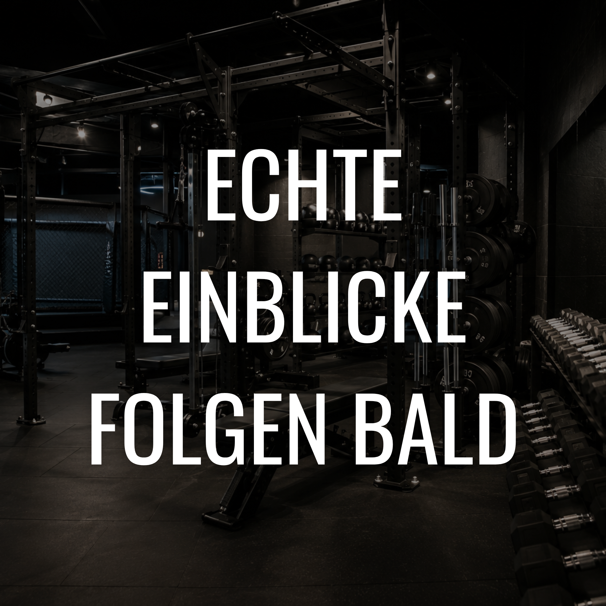 Krafttraining im Fitnessstudio mit Hantelbank, Hanteln und Gewichtsscheiben, dunkle Atmosphäre