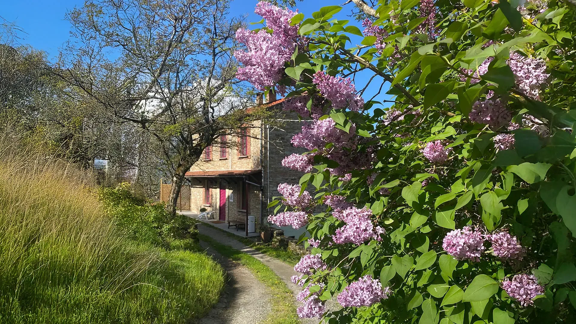 Bed & Breakfast La Lupa e l'Orso, a Pagazzano, frazione di Berceto