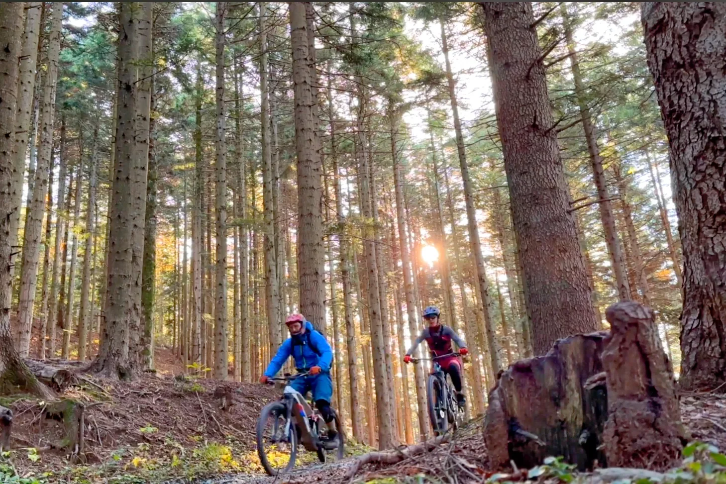 Escursioni guidate in e-mtb a Berceto