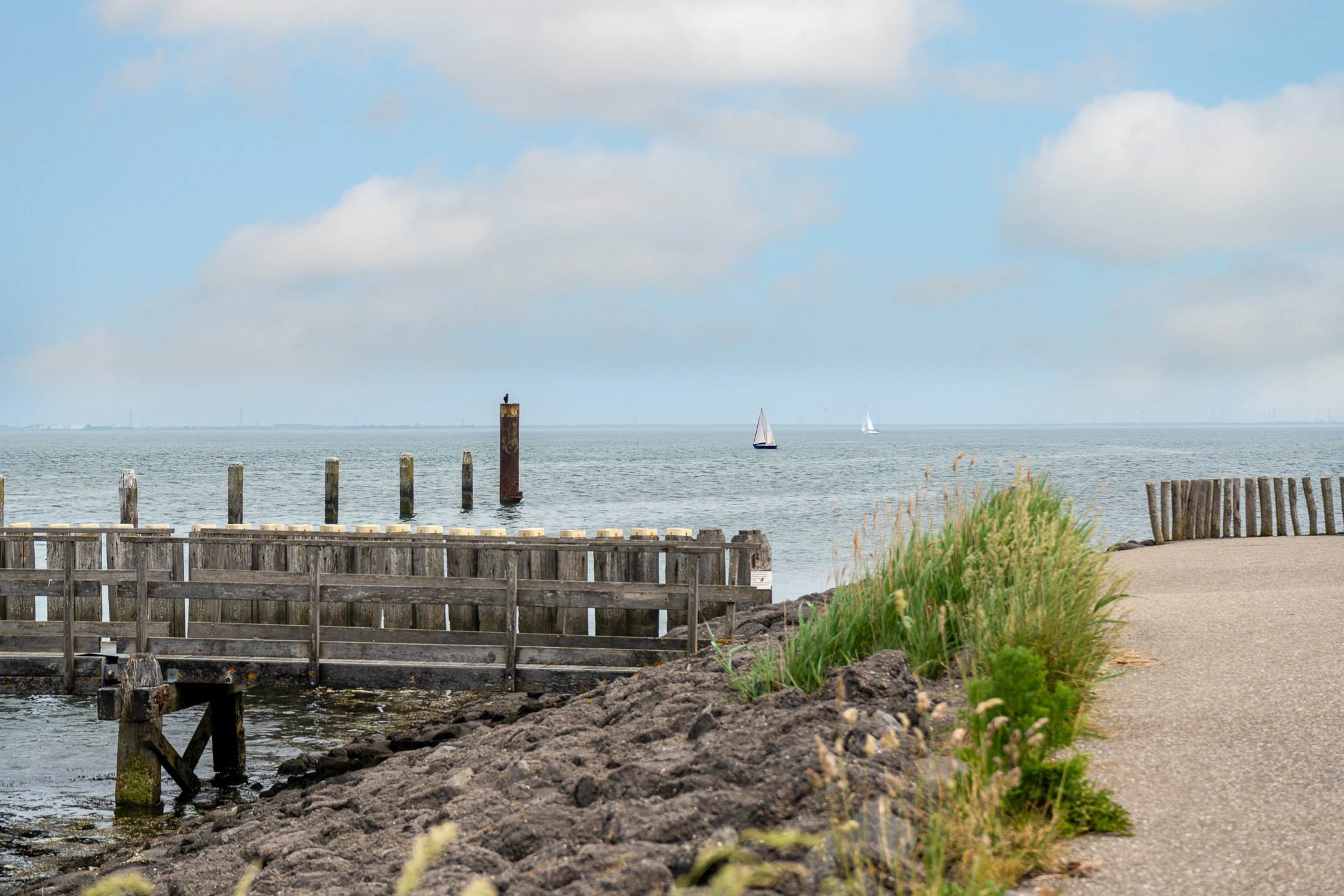 Sint Maartensdijk Zeester (4 van 12).jpg