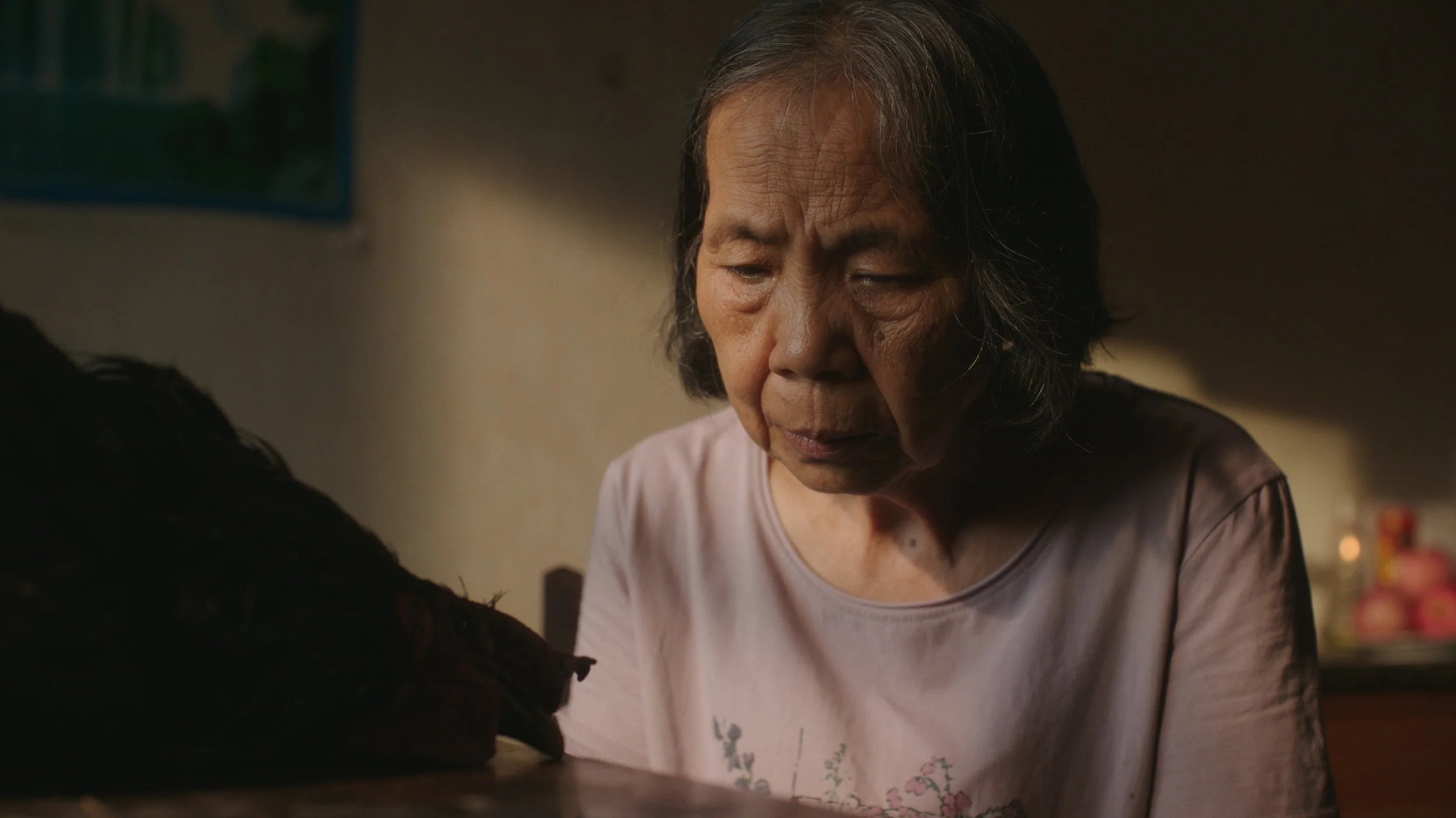 Chicken Lady Film Still