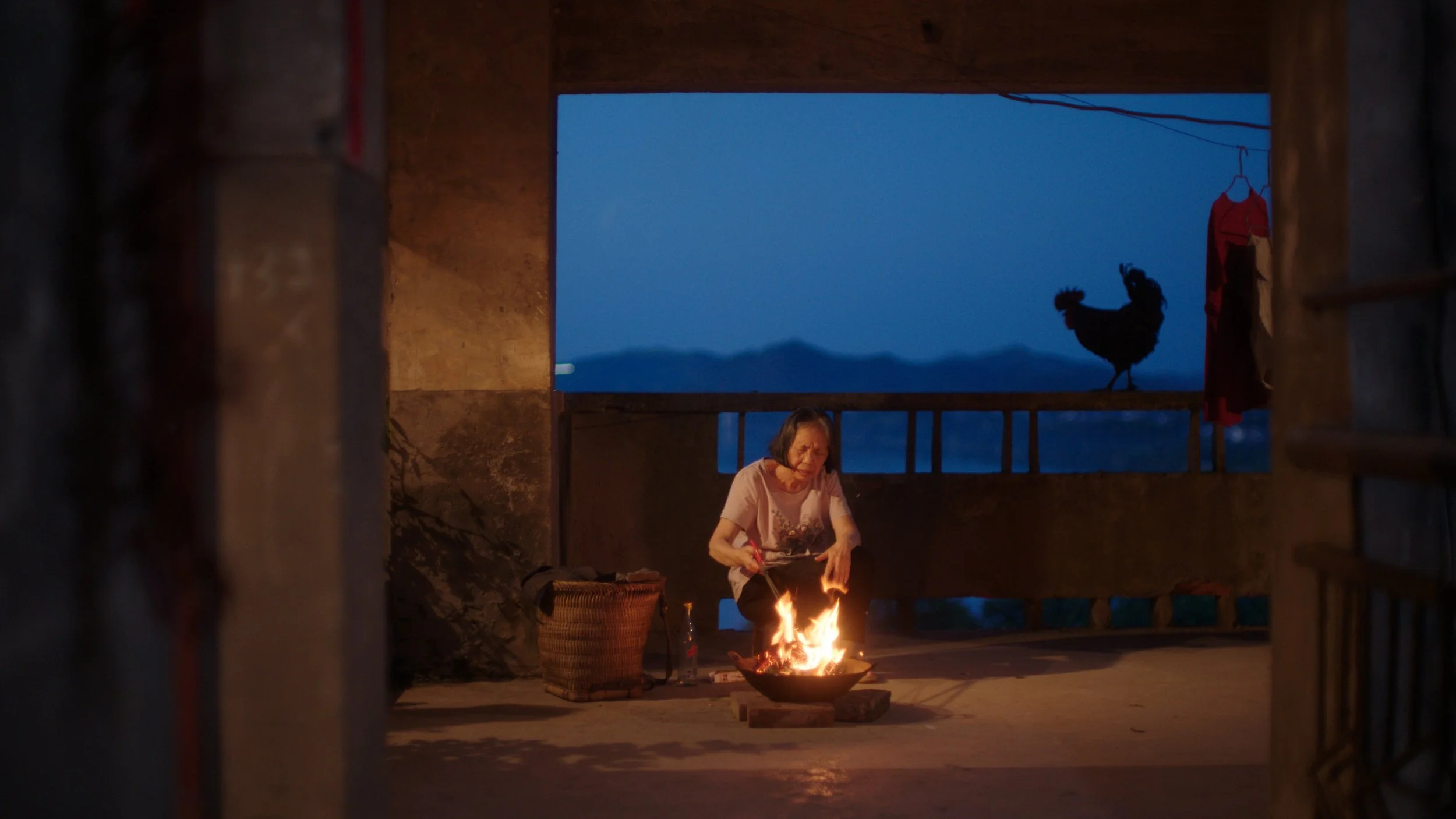 Chicken Lady Film Still
