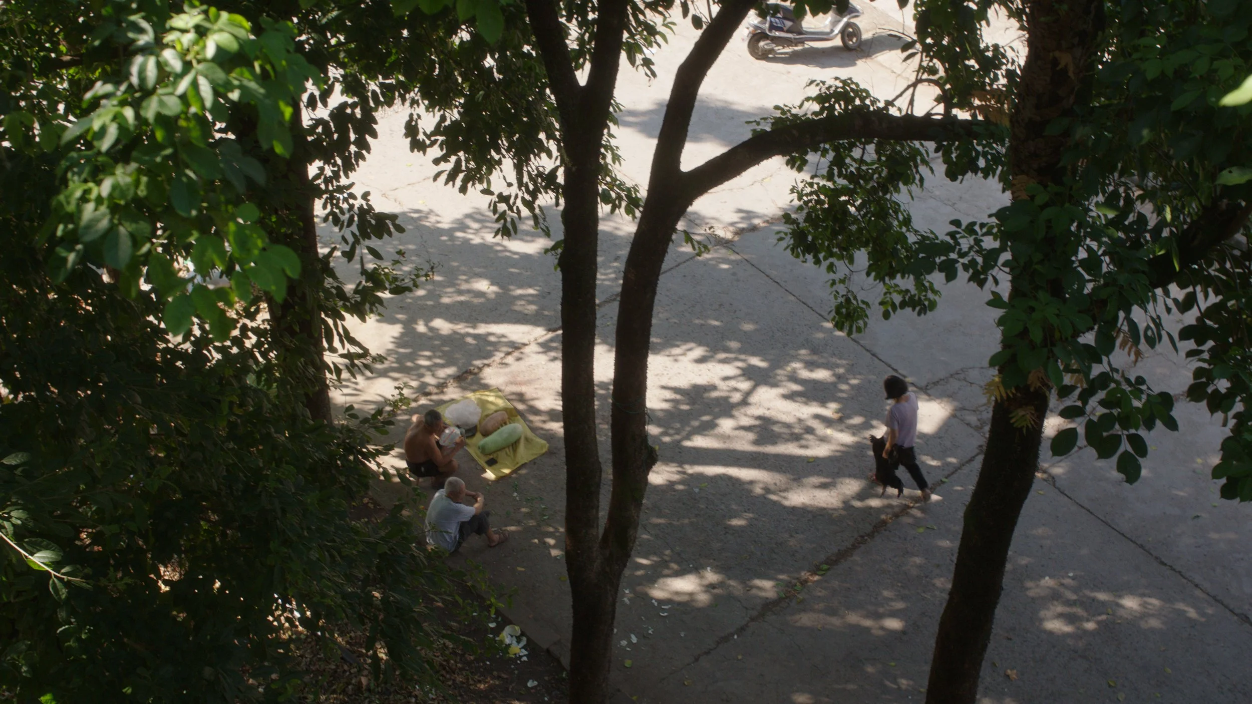 Chicken Lady Film Still