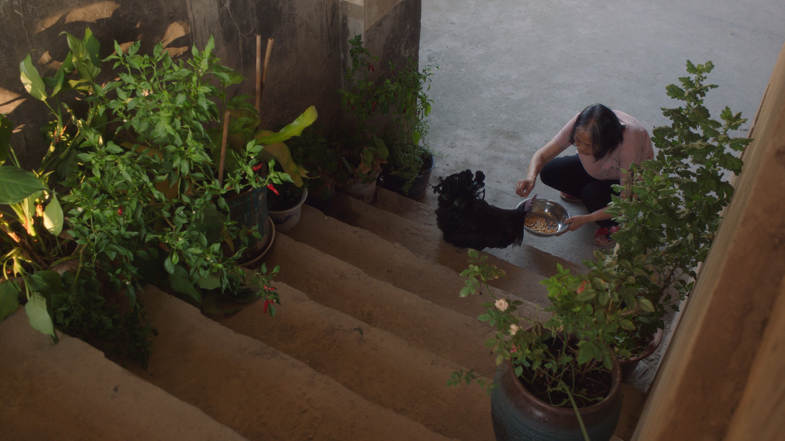 Chicken Lady Film Still