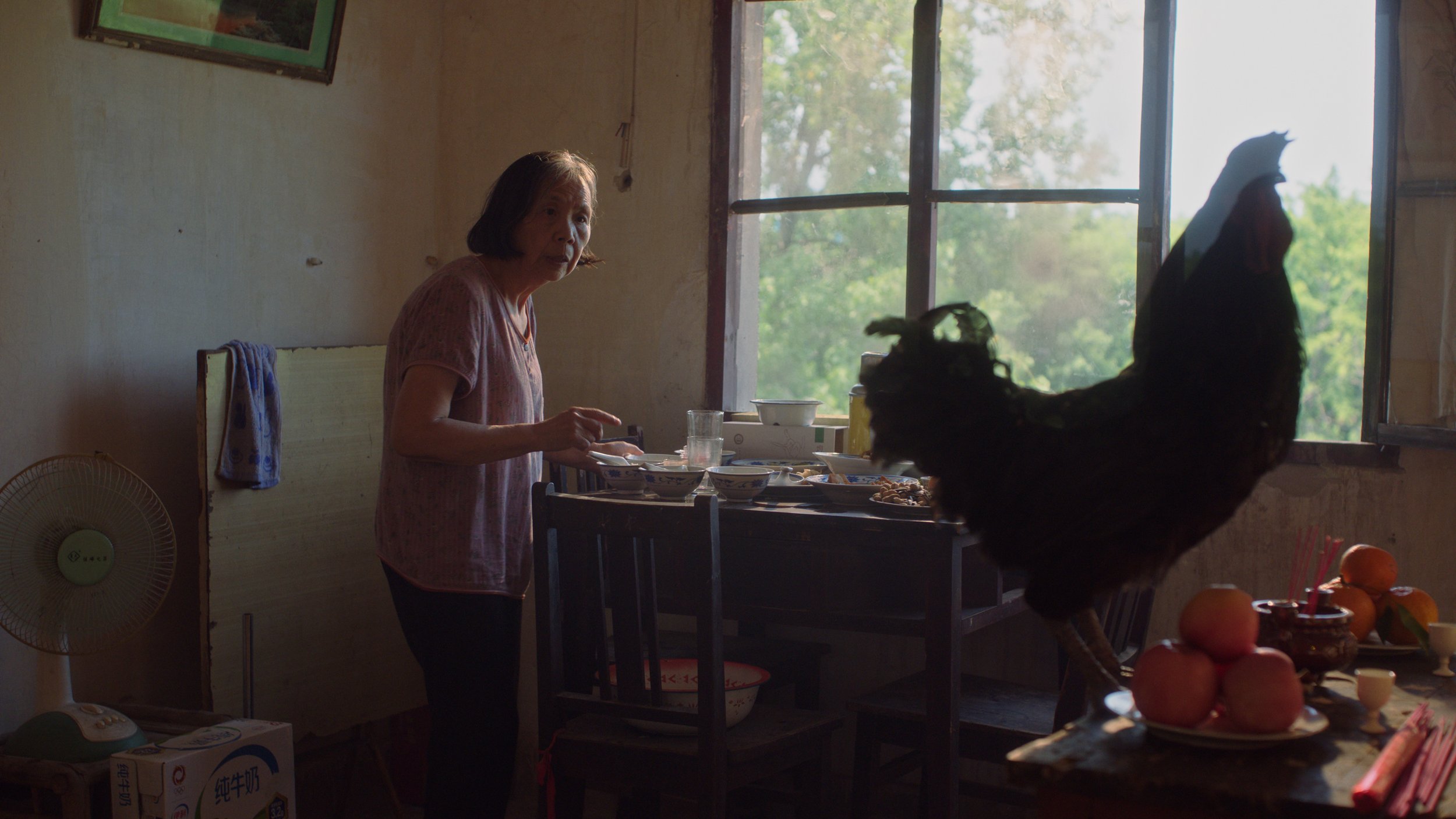 Chicken Lady Film Still