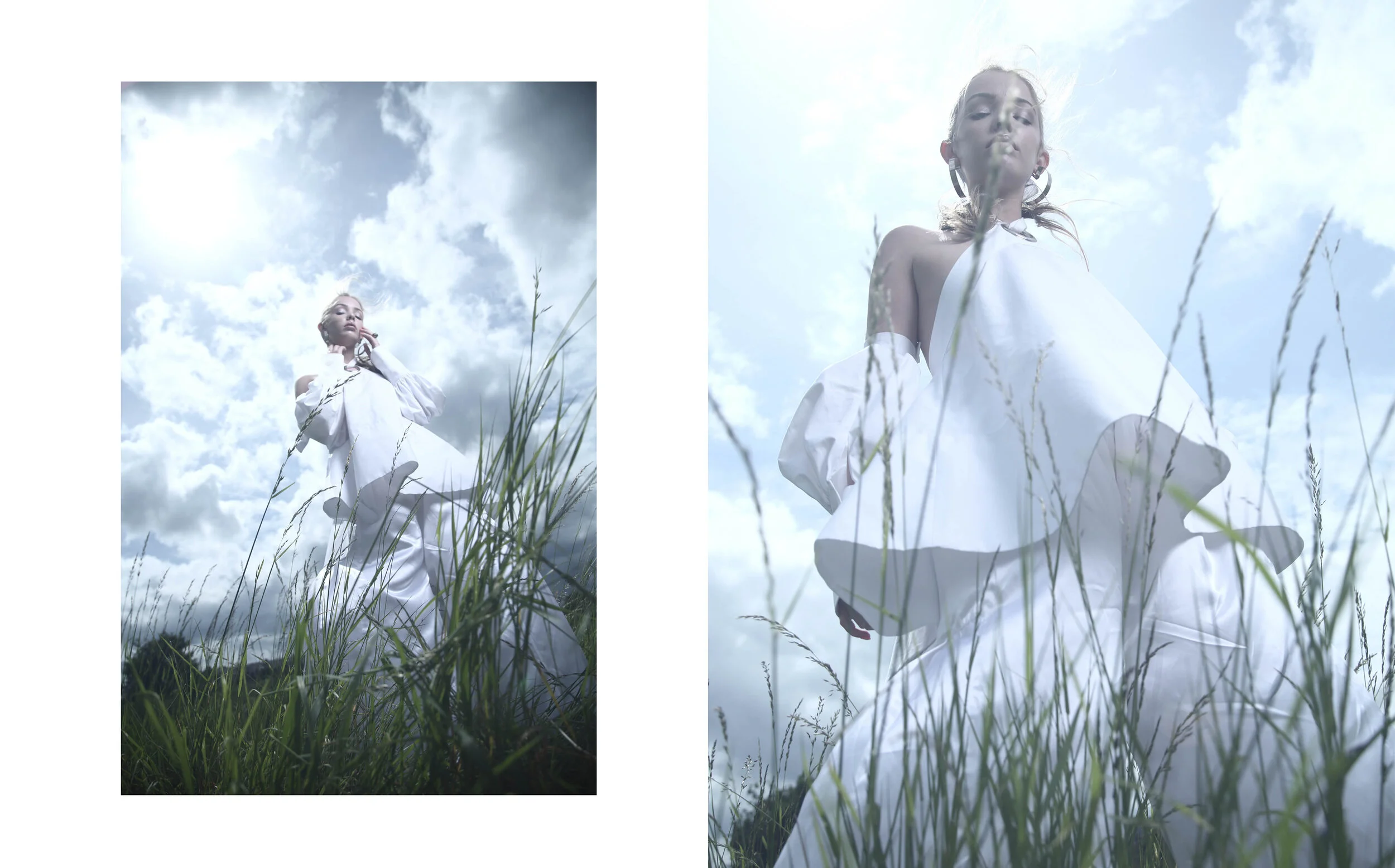 WHITE ROSE 4.jpg