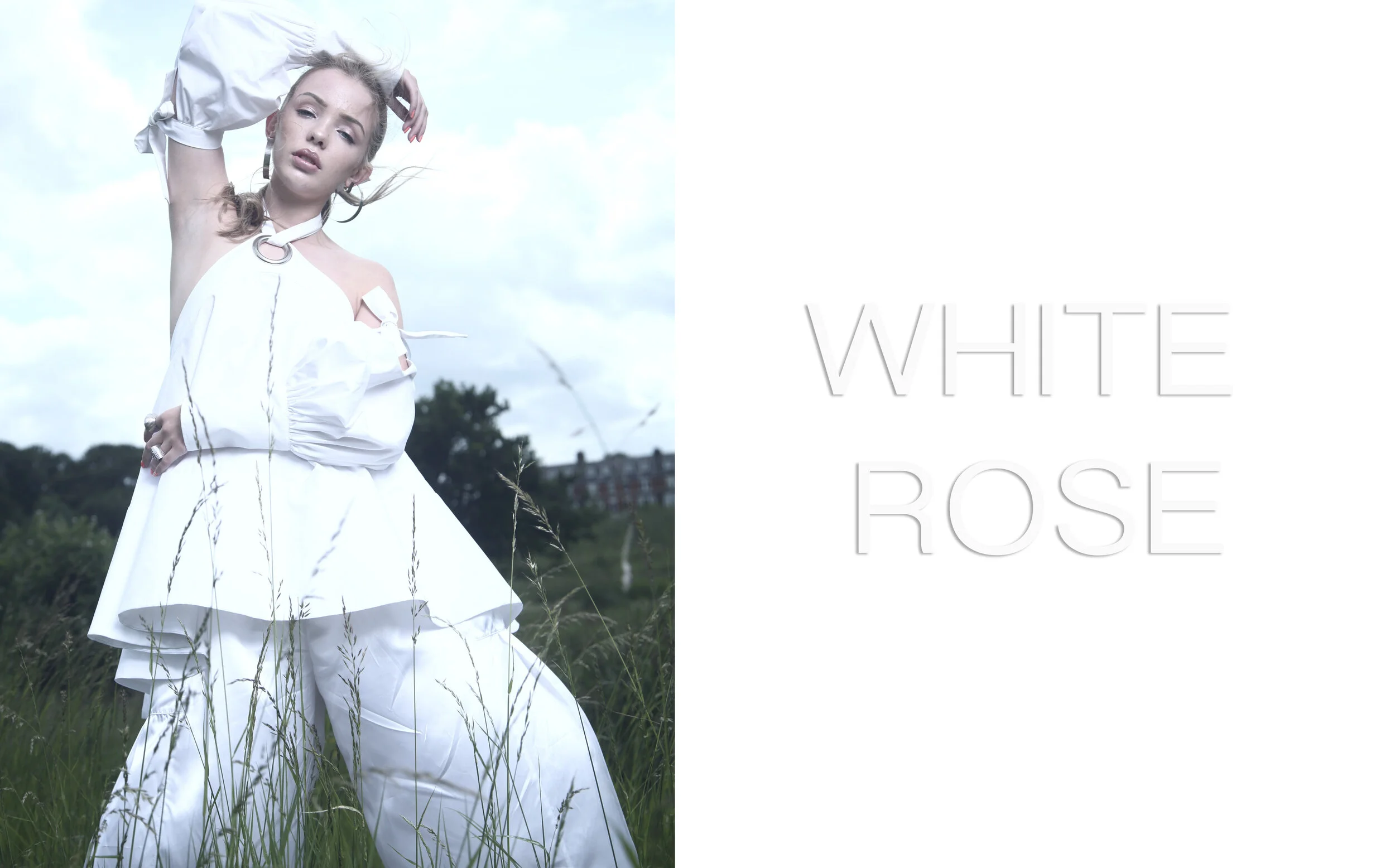WHITE ROSE1.jpg