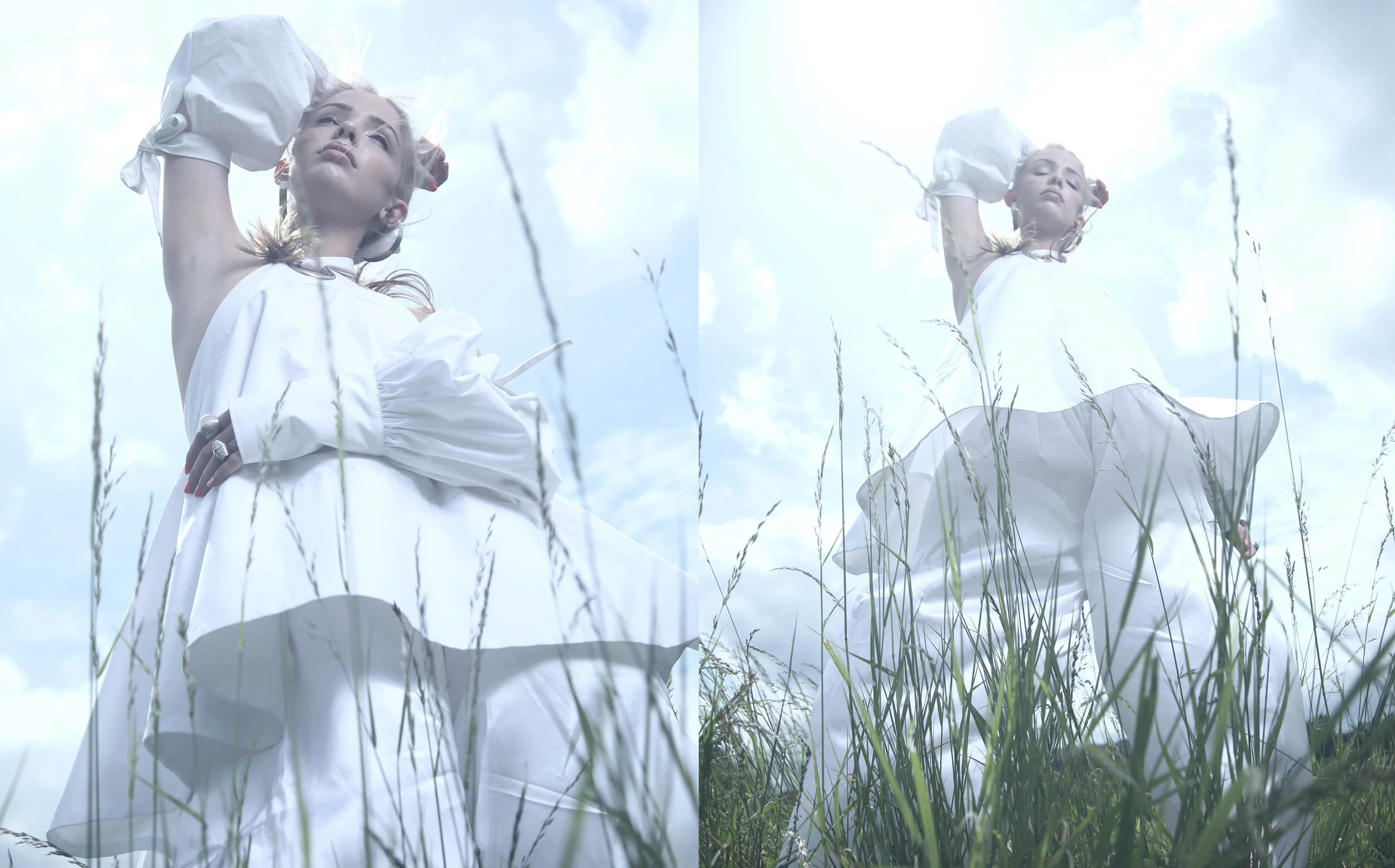 WHITE ROSE2.jpg