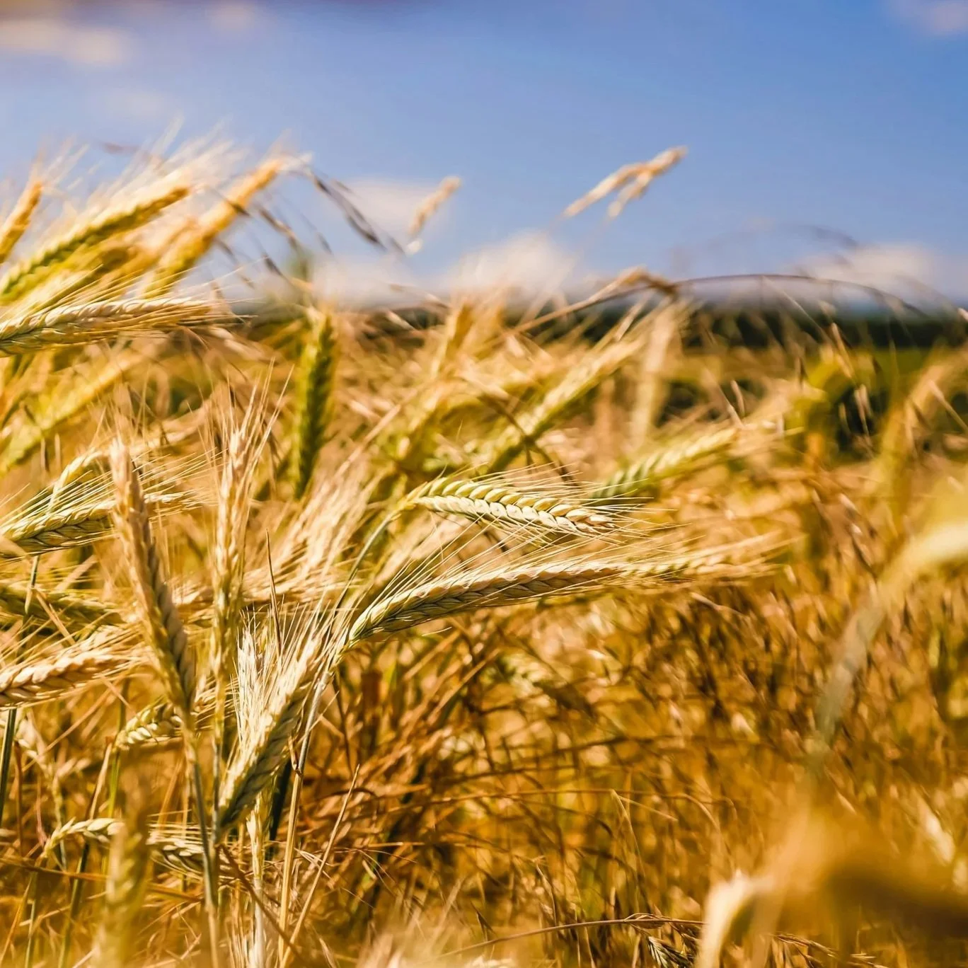 Agricultural Benefits