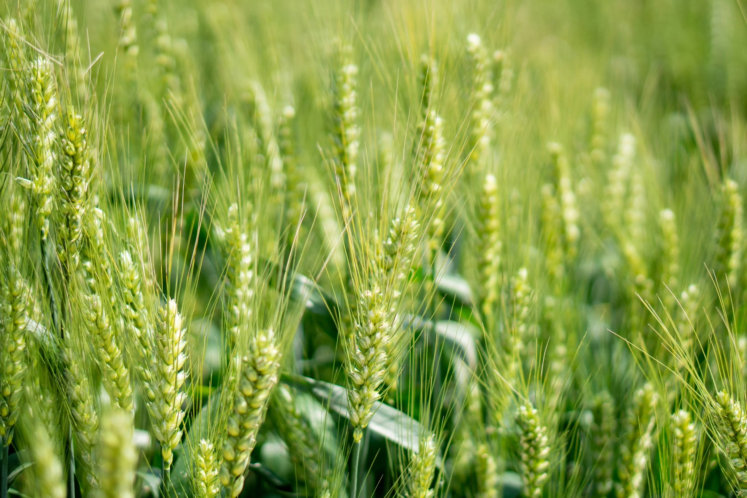 Agricultural Benefits