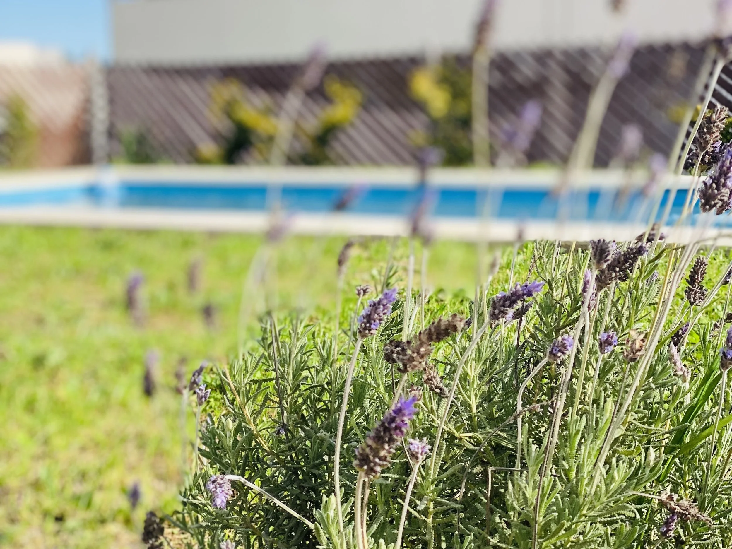 Private home with garden and swimming pool in Pilar. Furnished residence for extended stays near Buenos Aires.