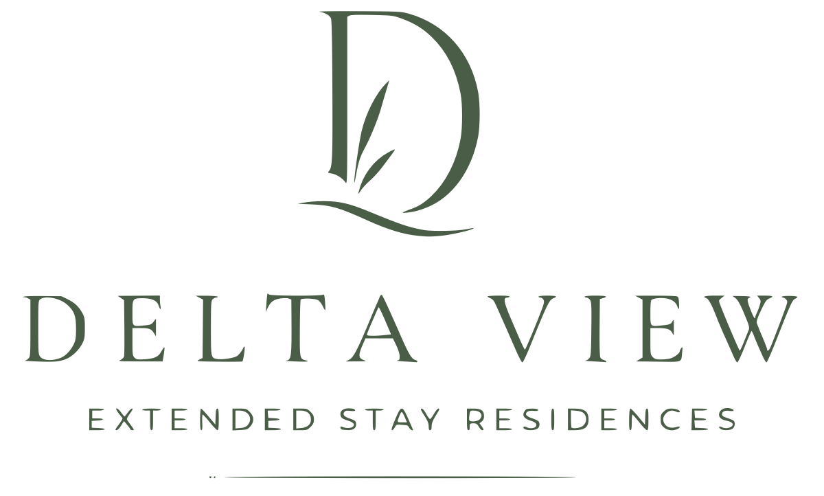 DELTA VIEW RENTALS