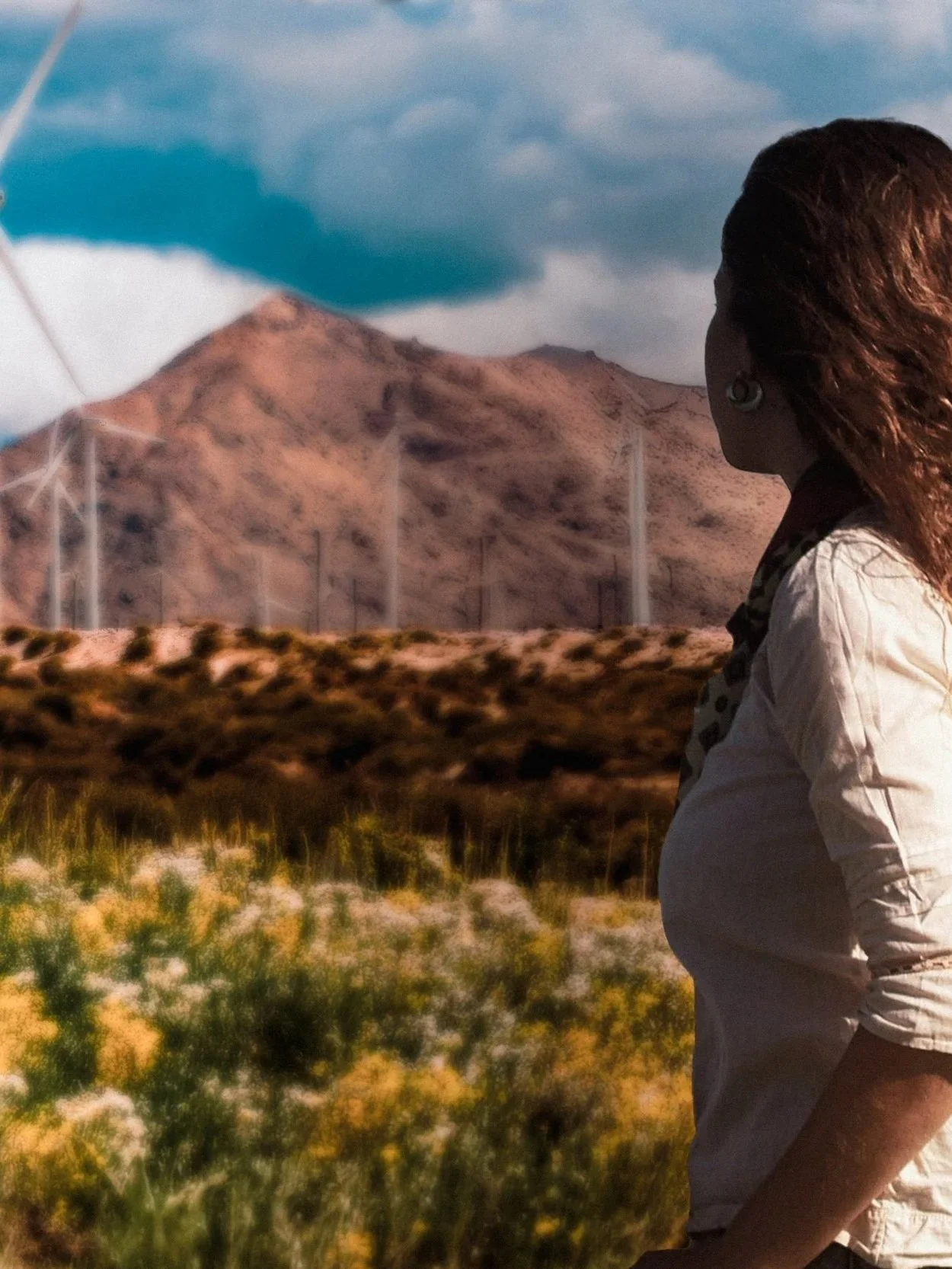 Global Best Practices for Including Ethnic and Rural Communities in Renewable Energy Projects