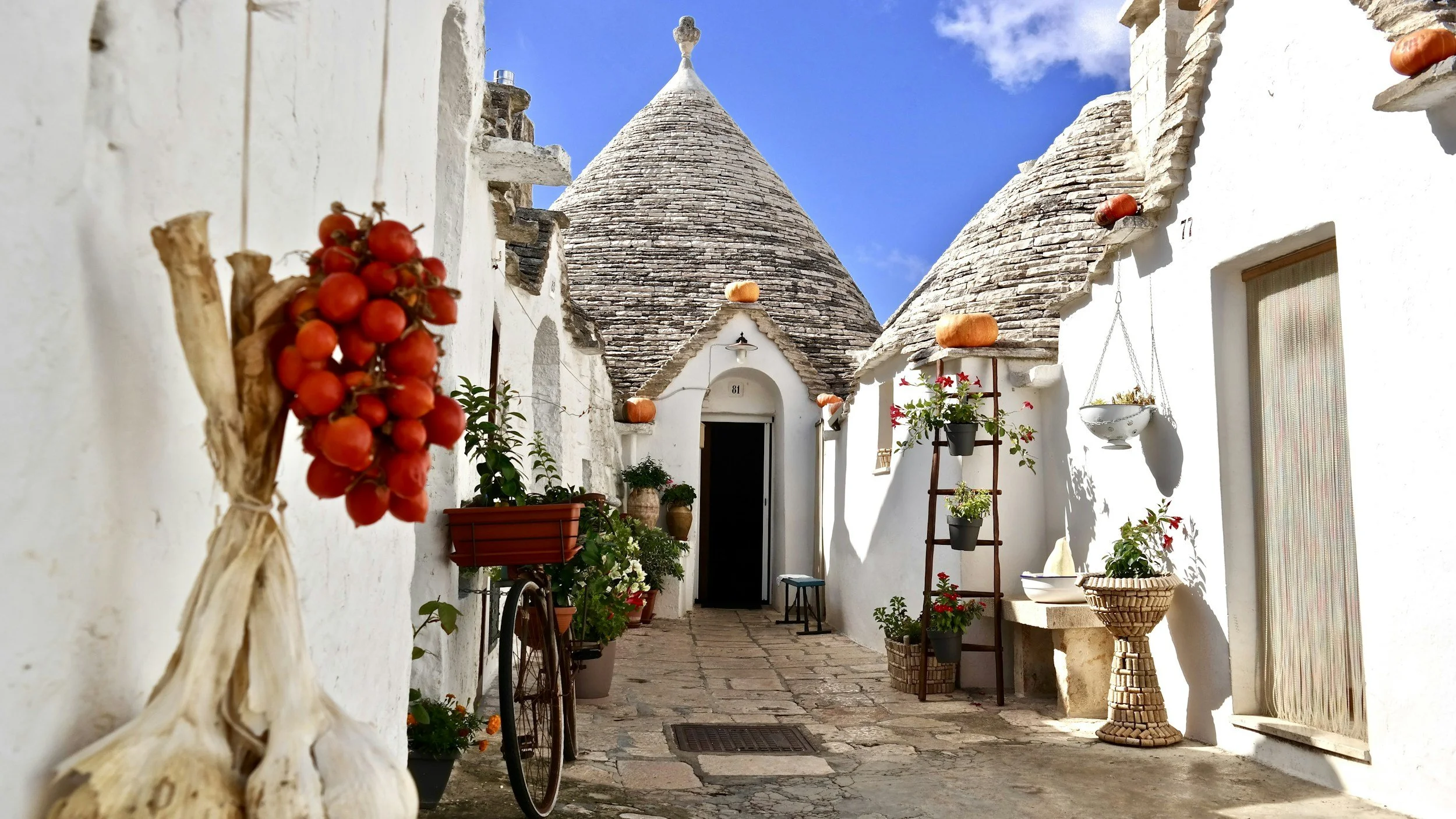 The Wines of Puglia - £40pp