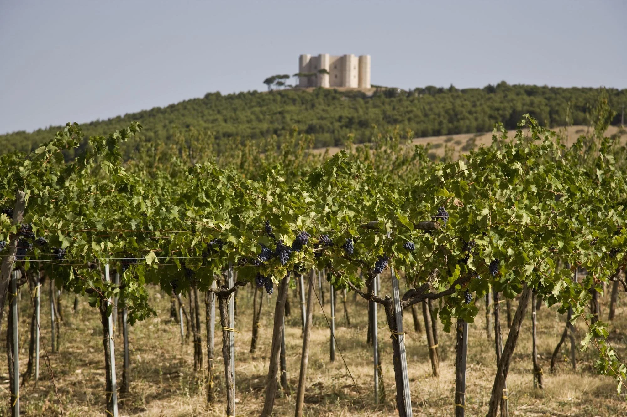 A Mano Castel Del Monte.jpg