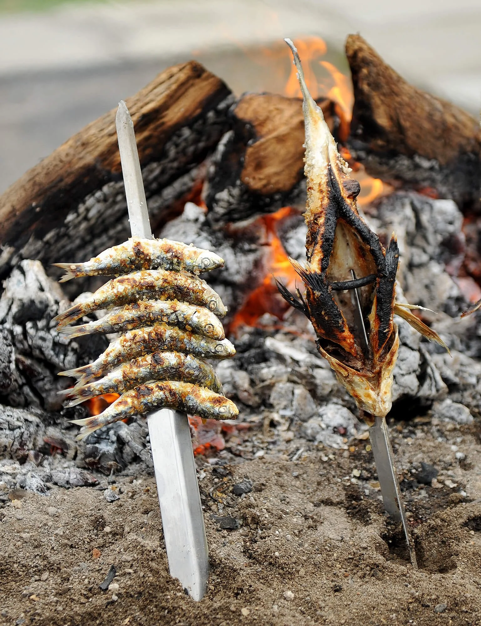 Two fish skewered on metal sticks grilling over hot coals and wood.